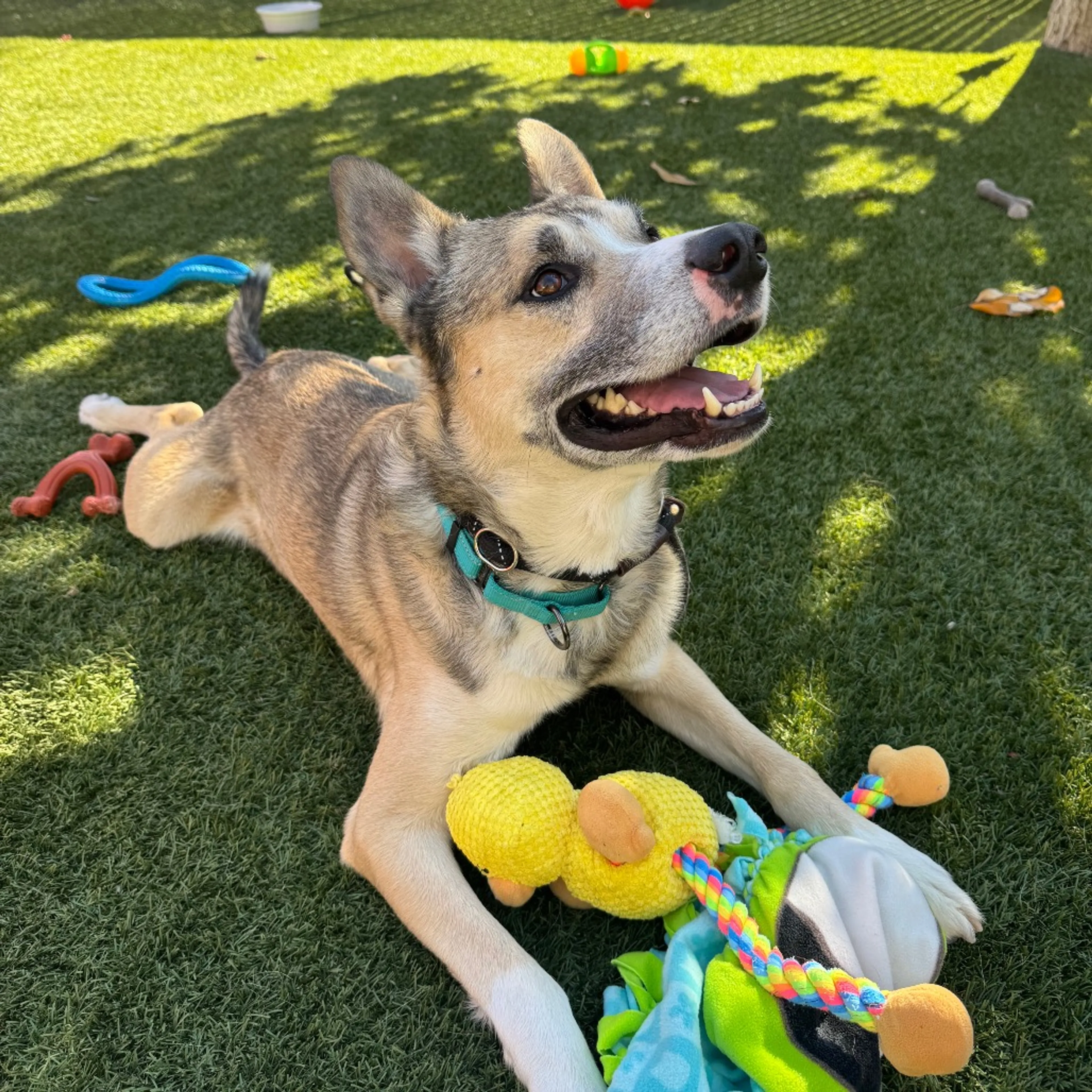 -1