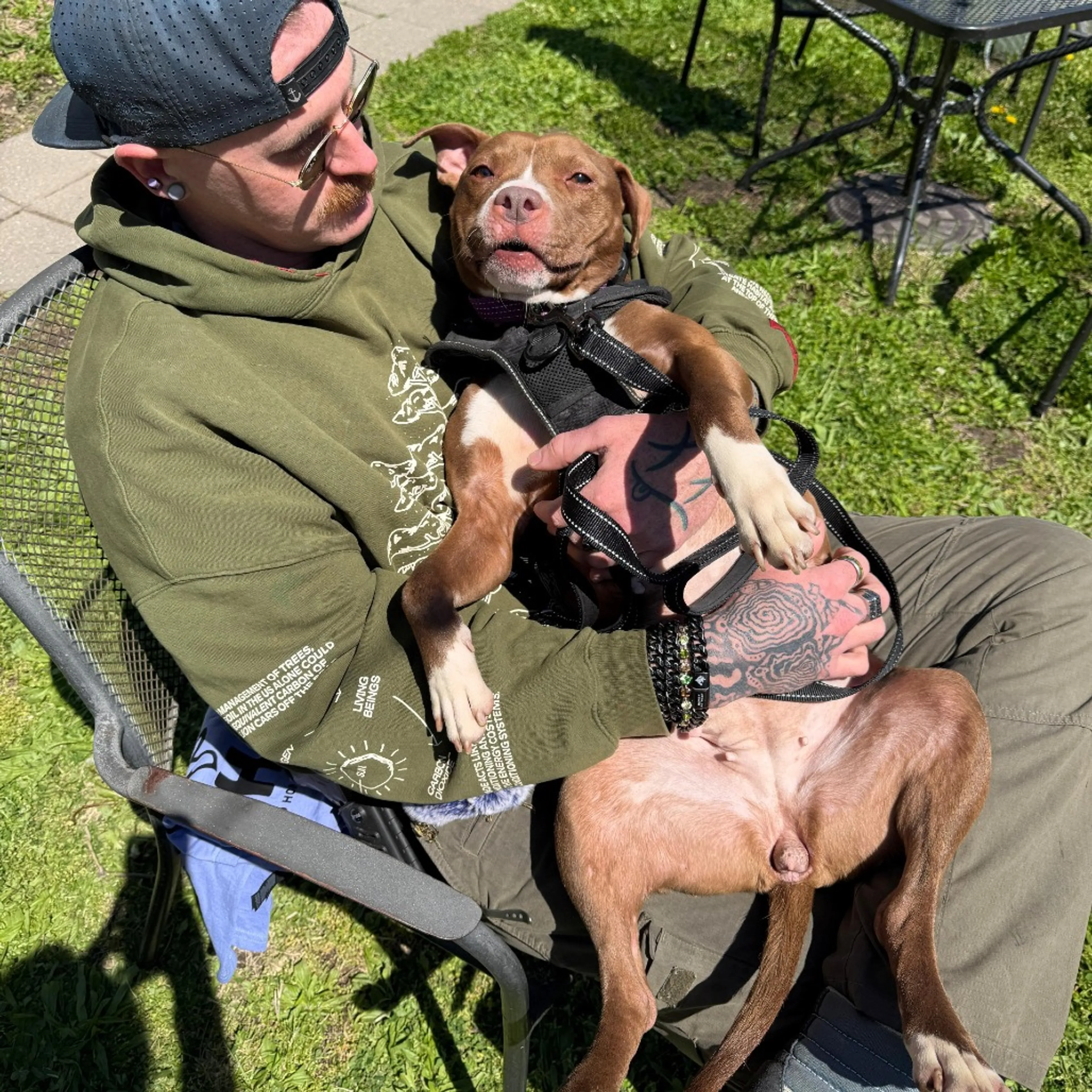 Found pet-6