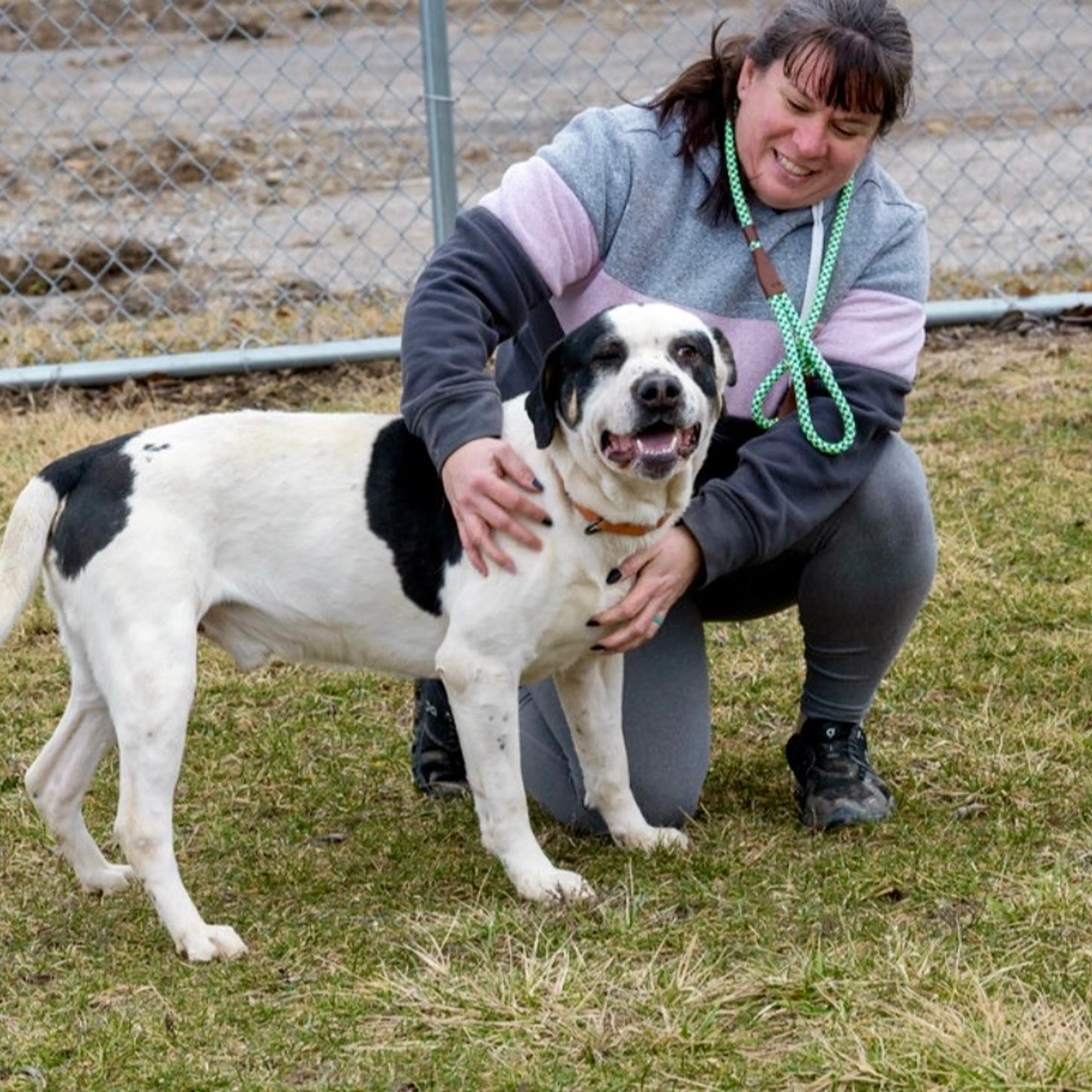 cdn image