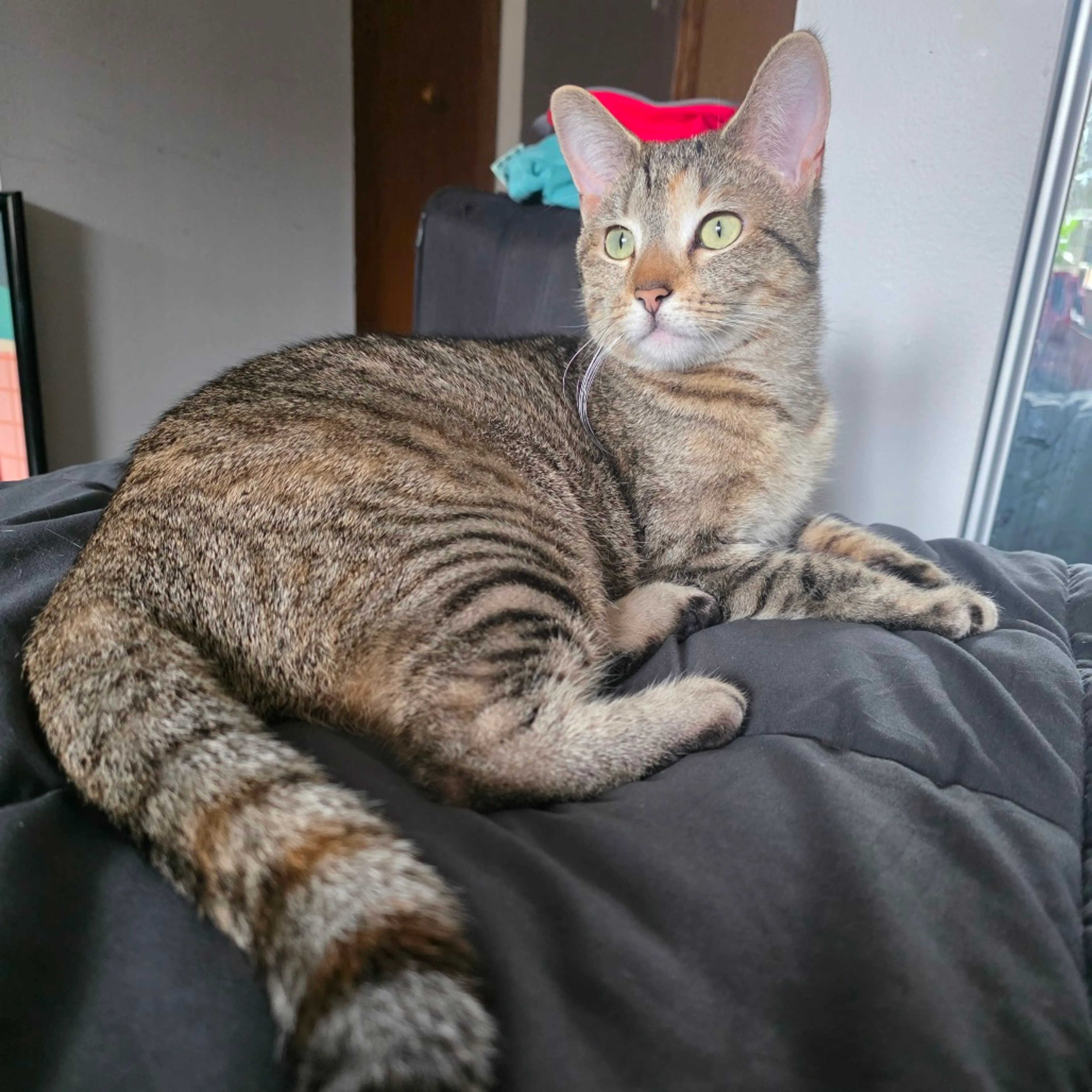 -14