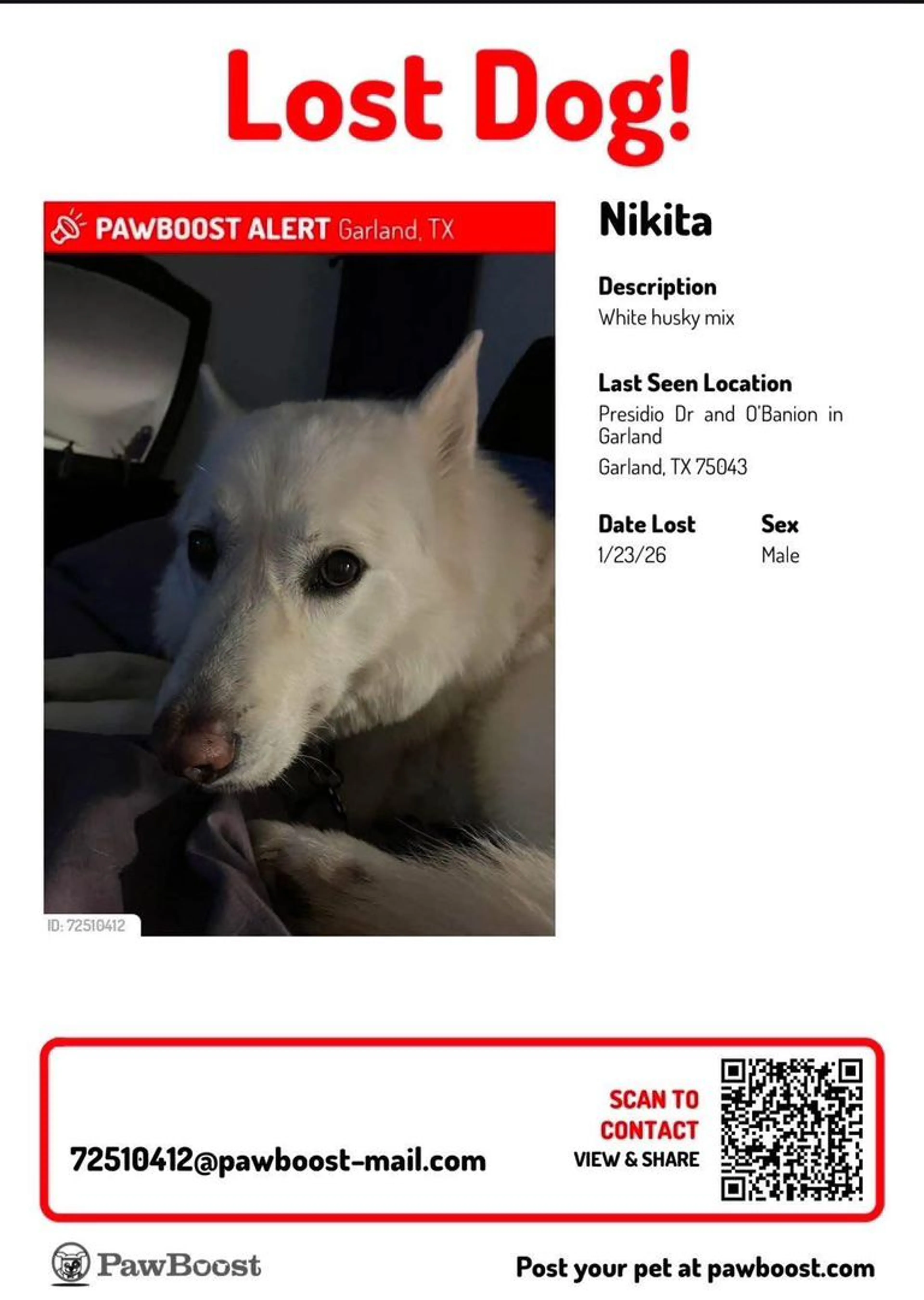 Lost pet