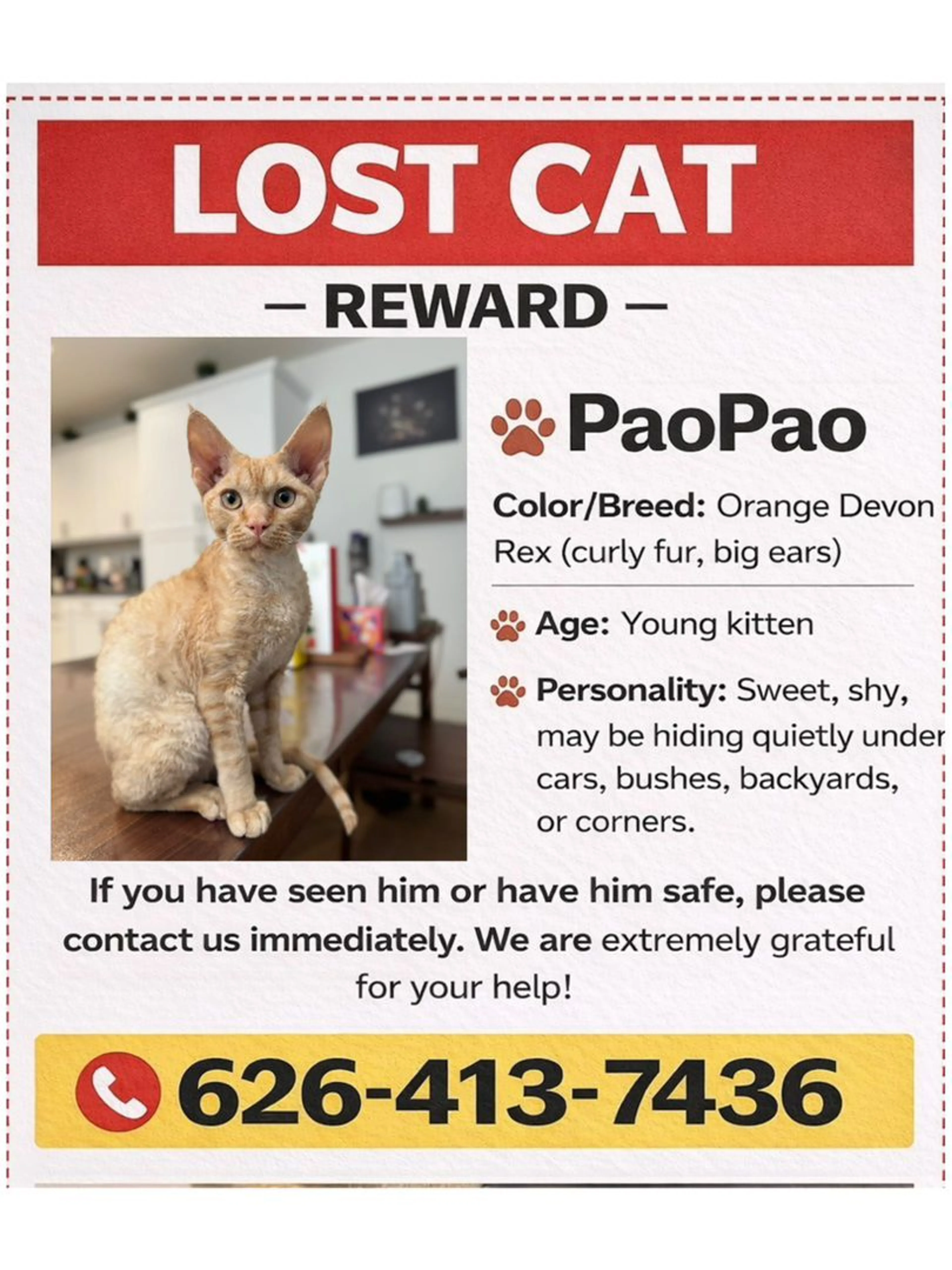 Lost pet