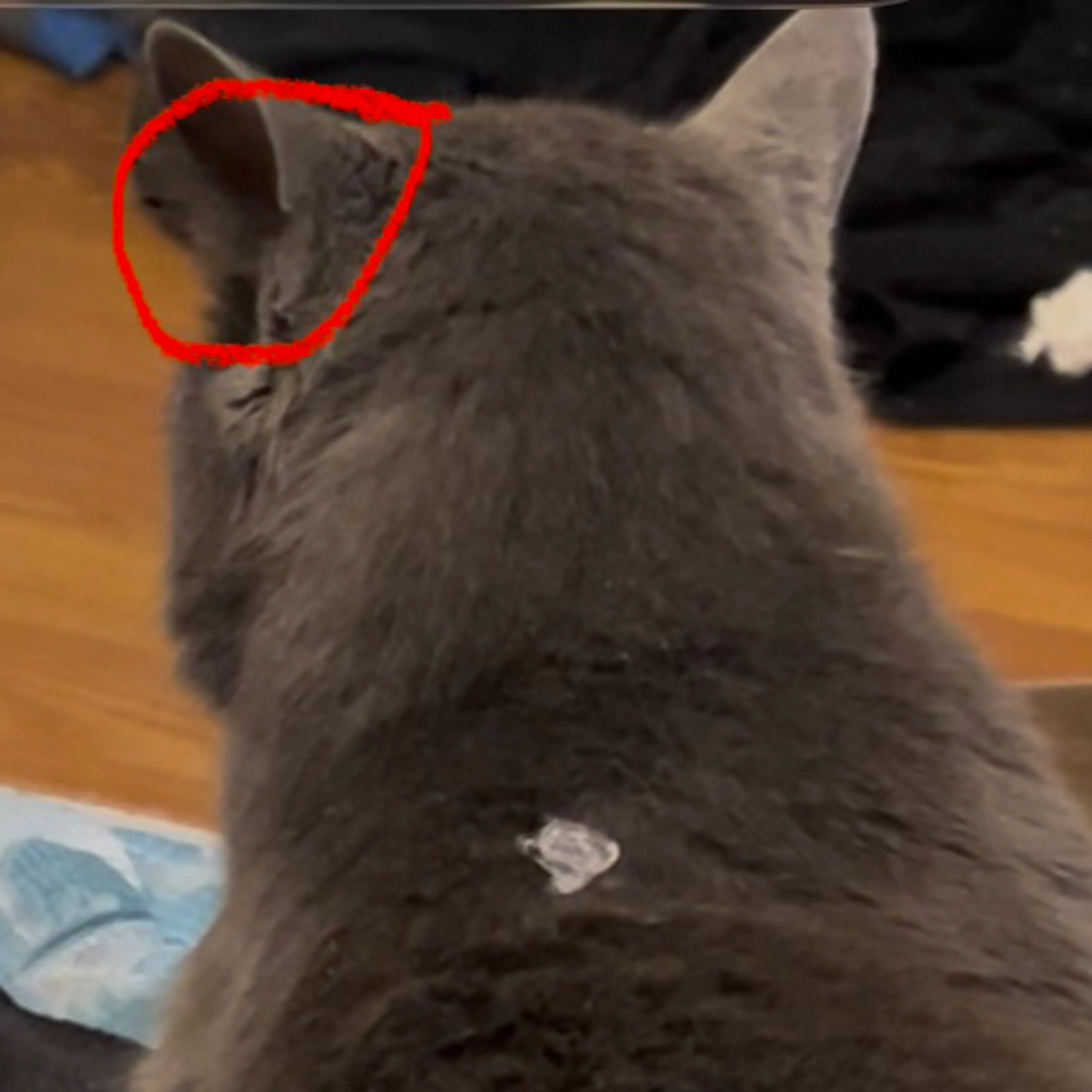-3