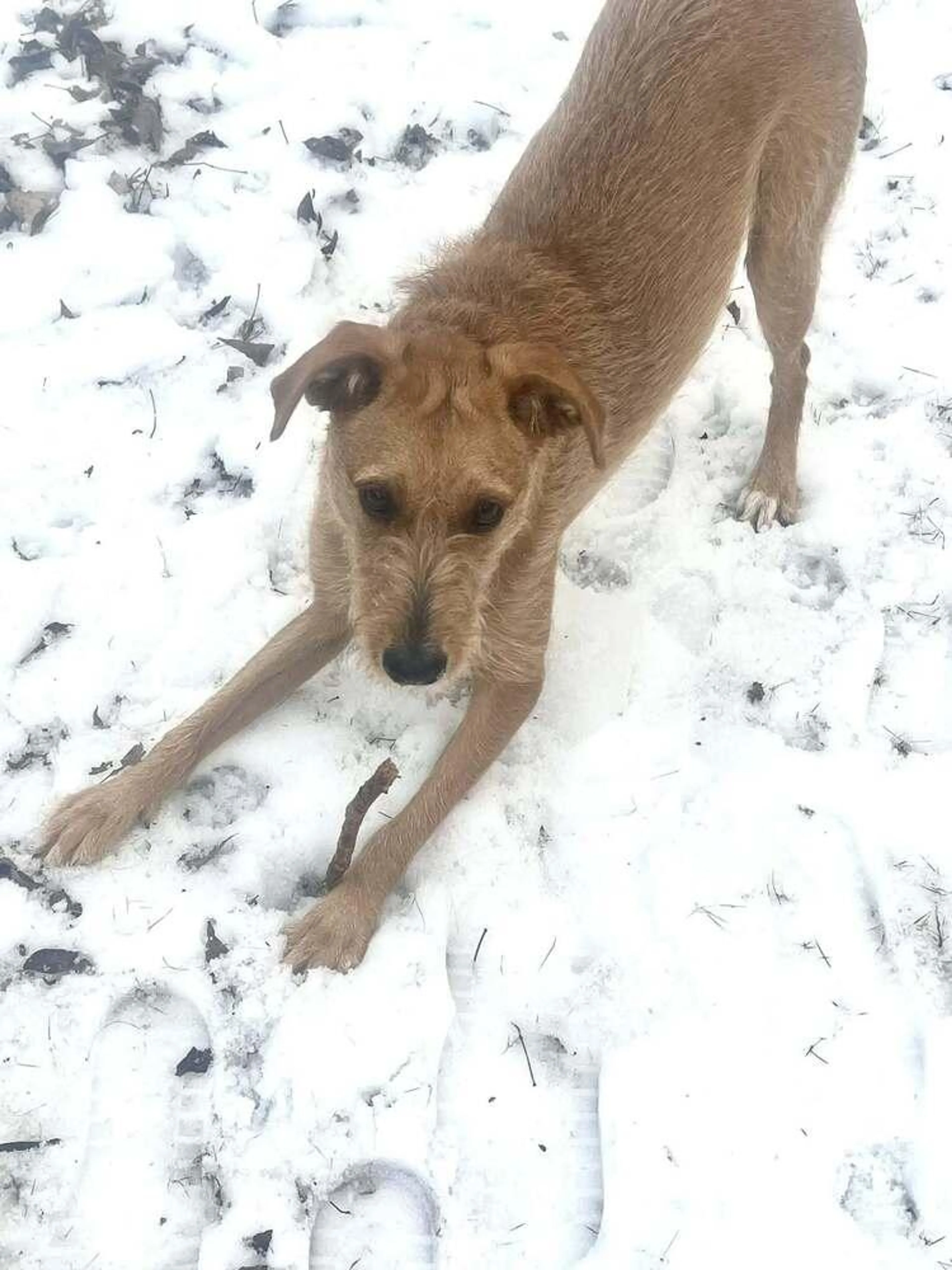 -1