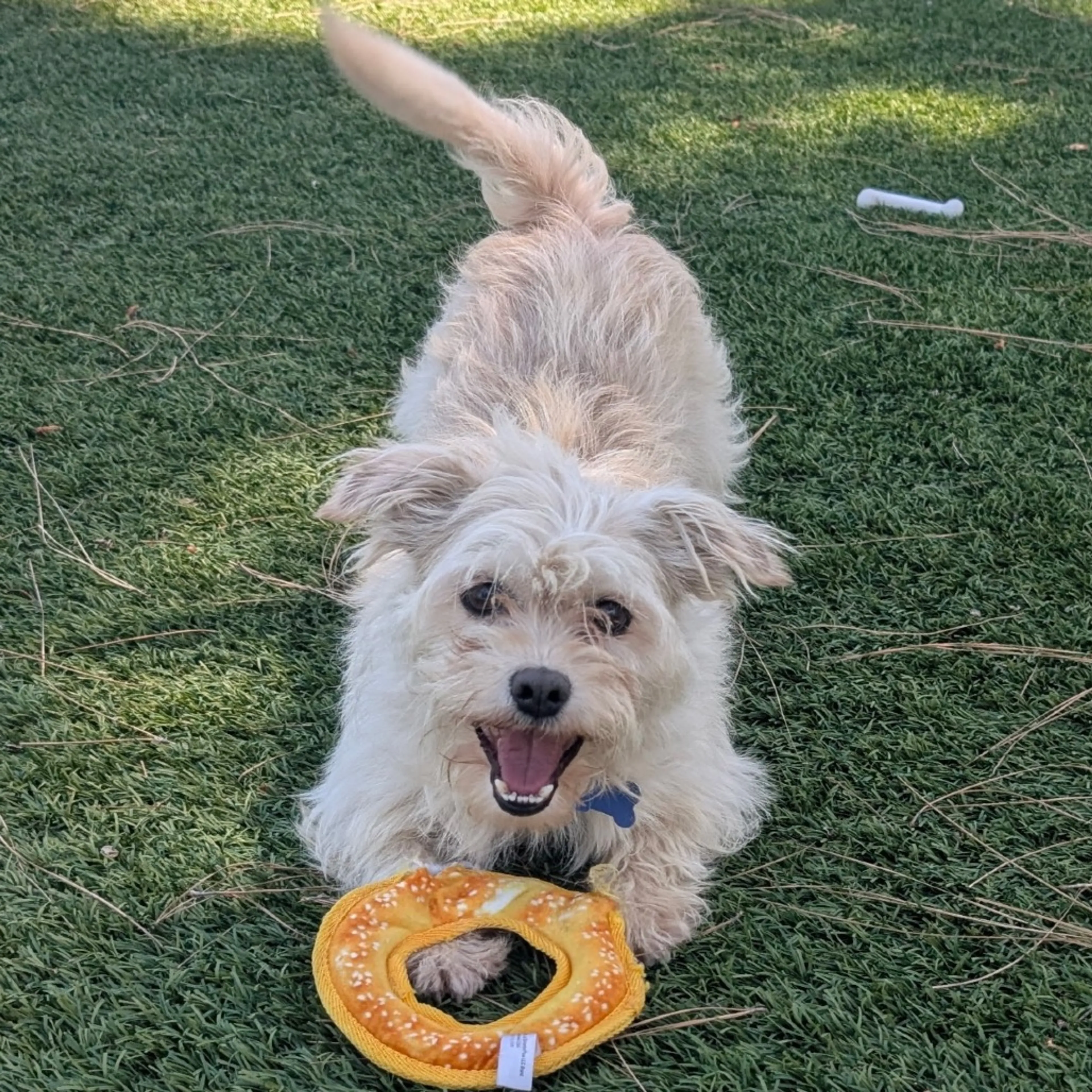 -22