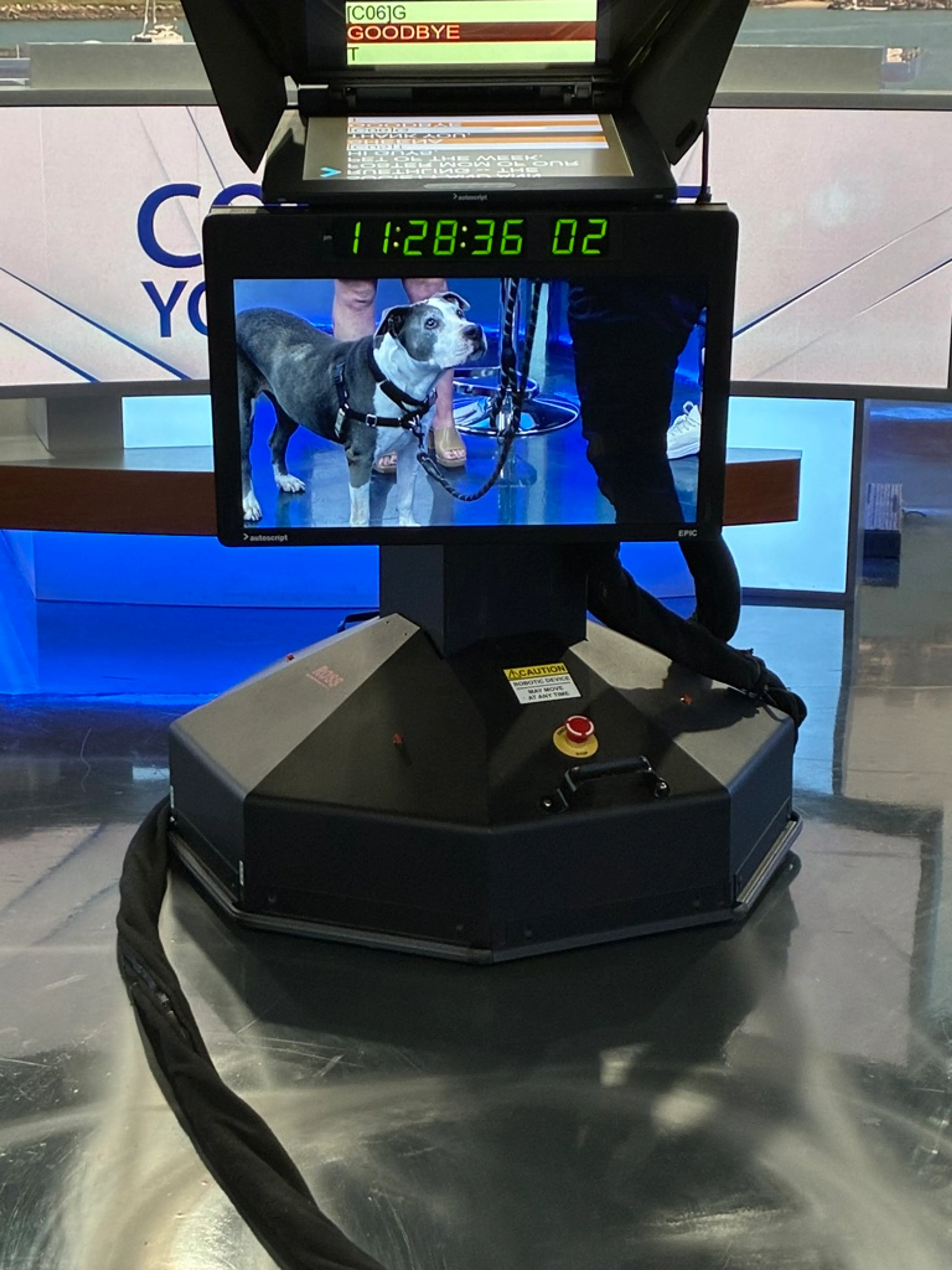 -5