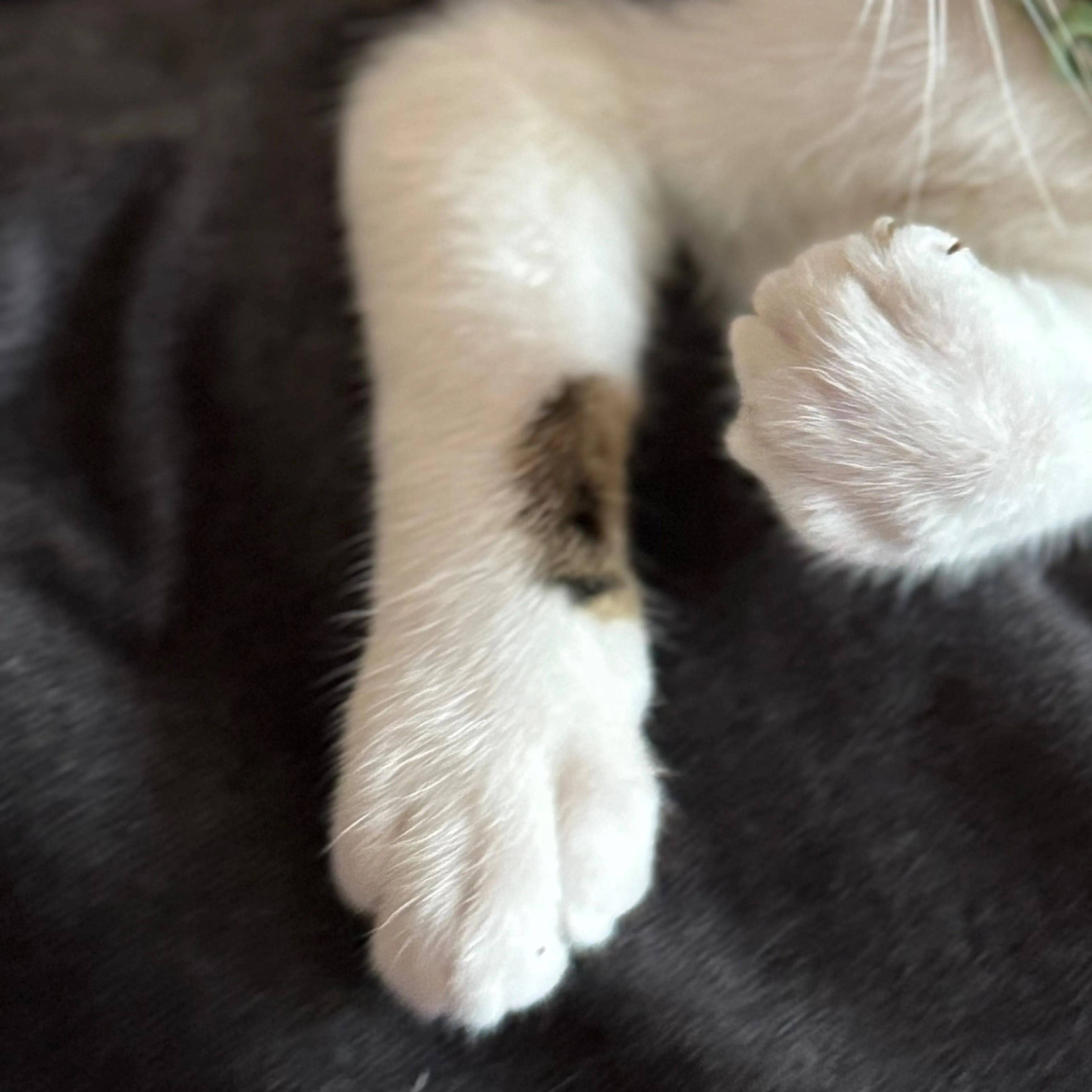 -3