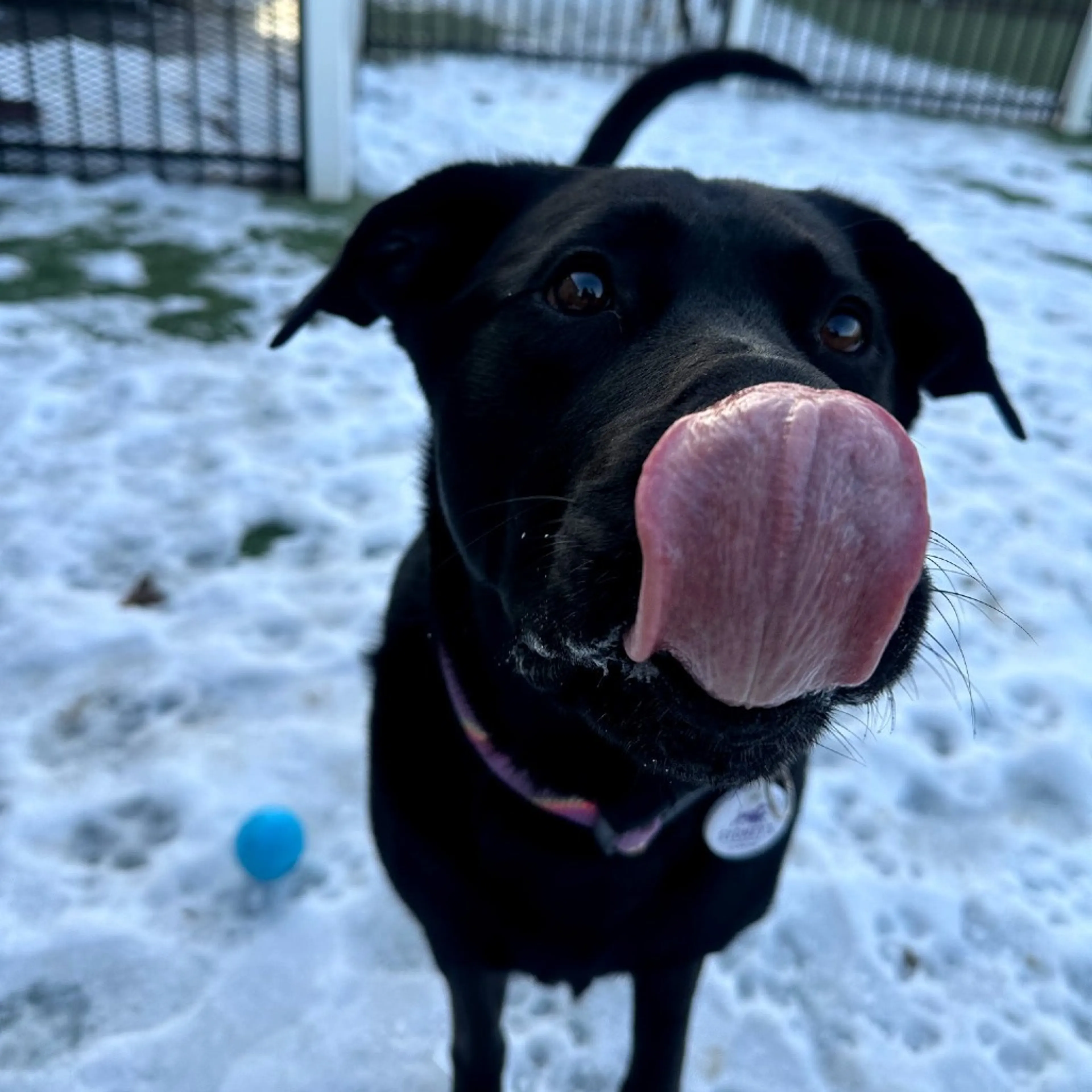 -12