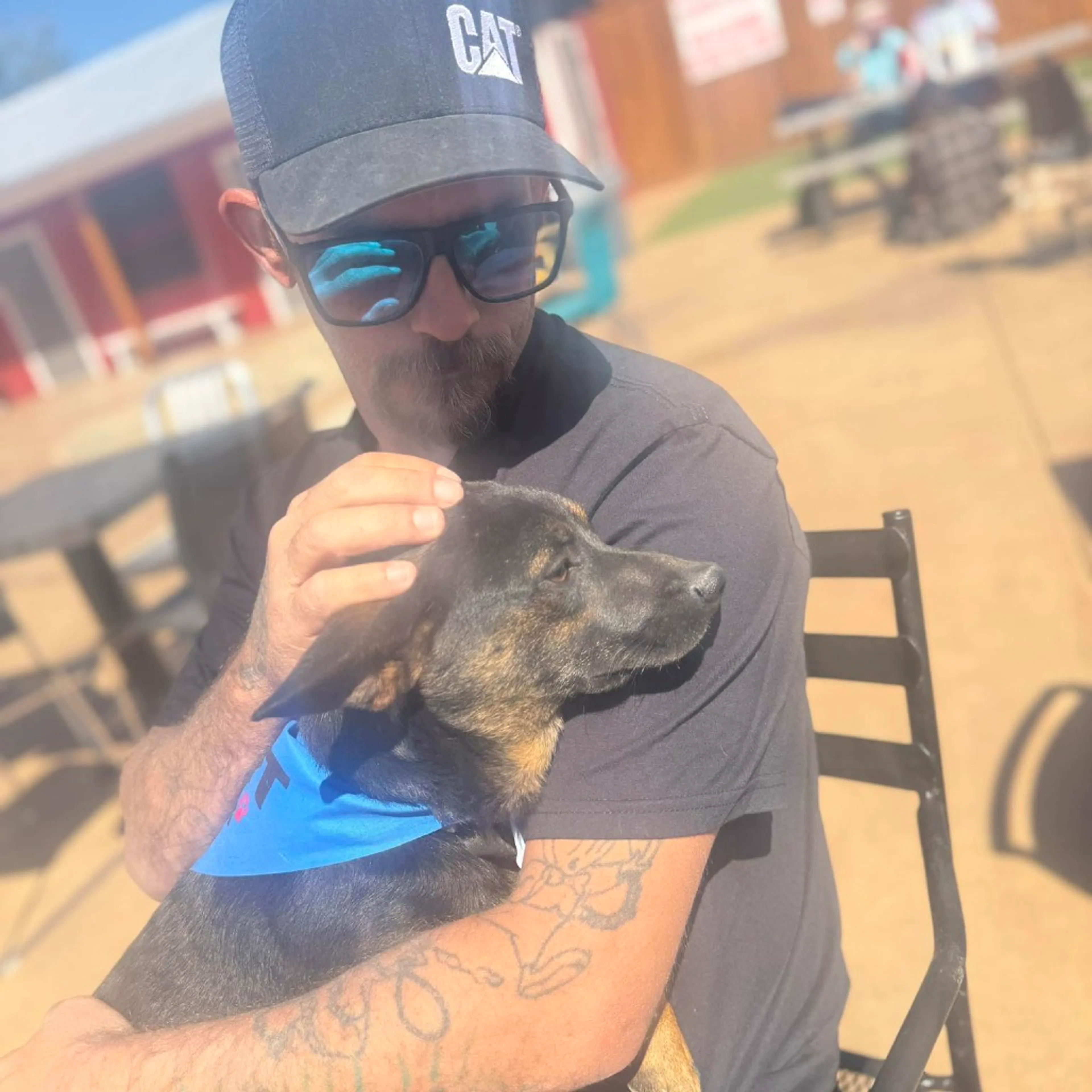 Found pet-44