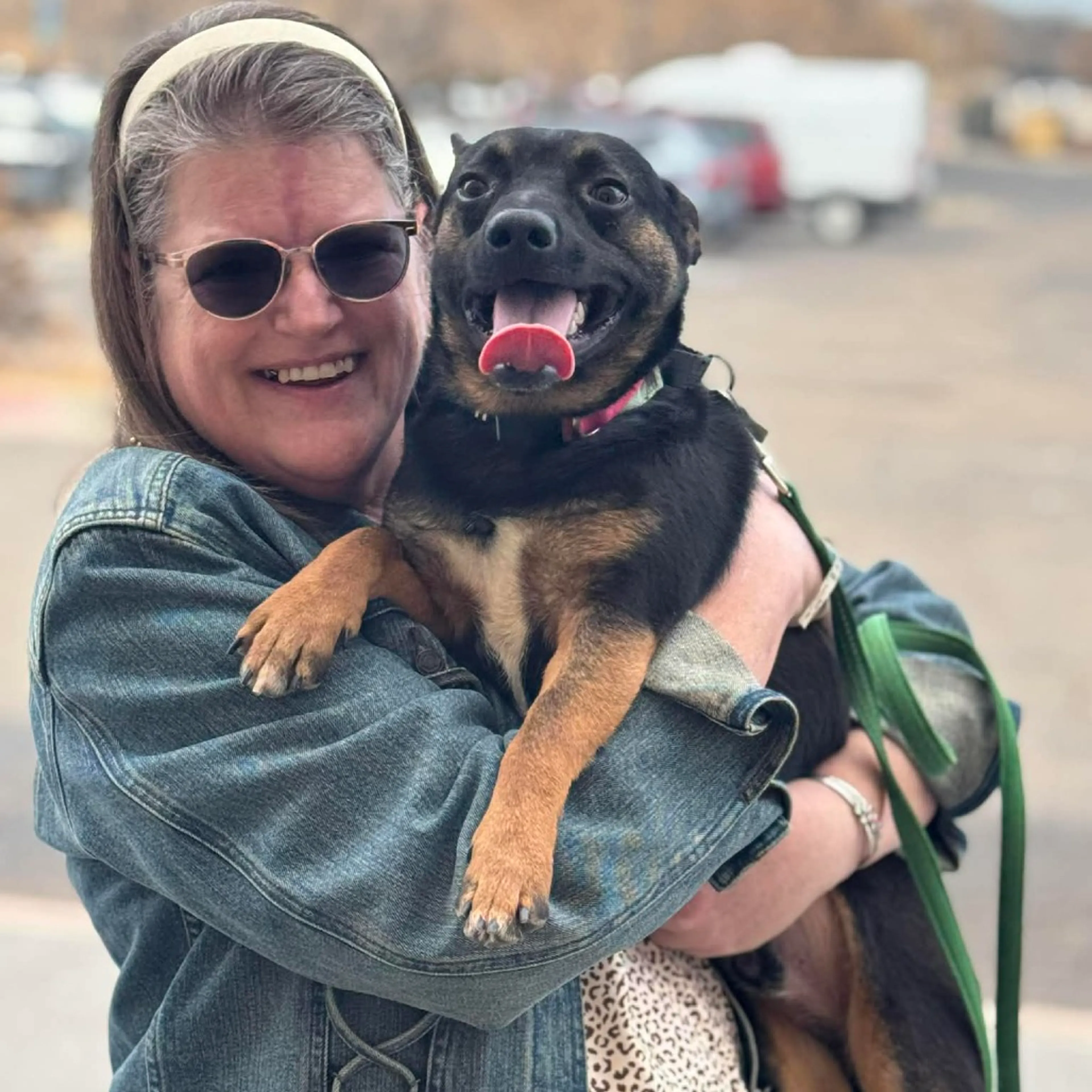Found pet-35