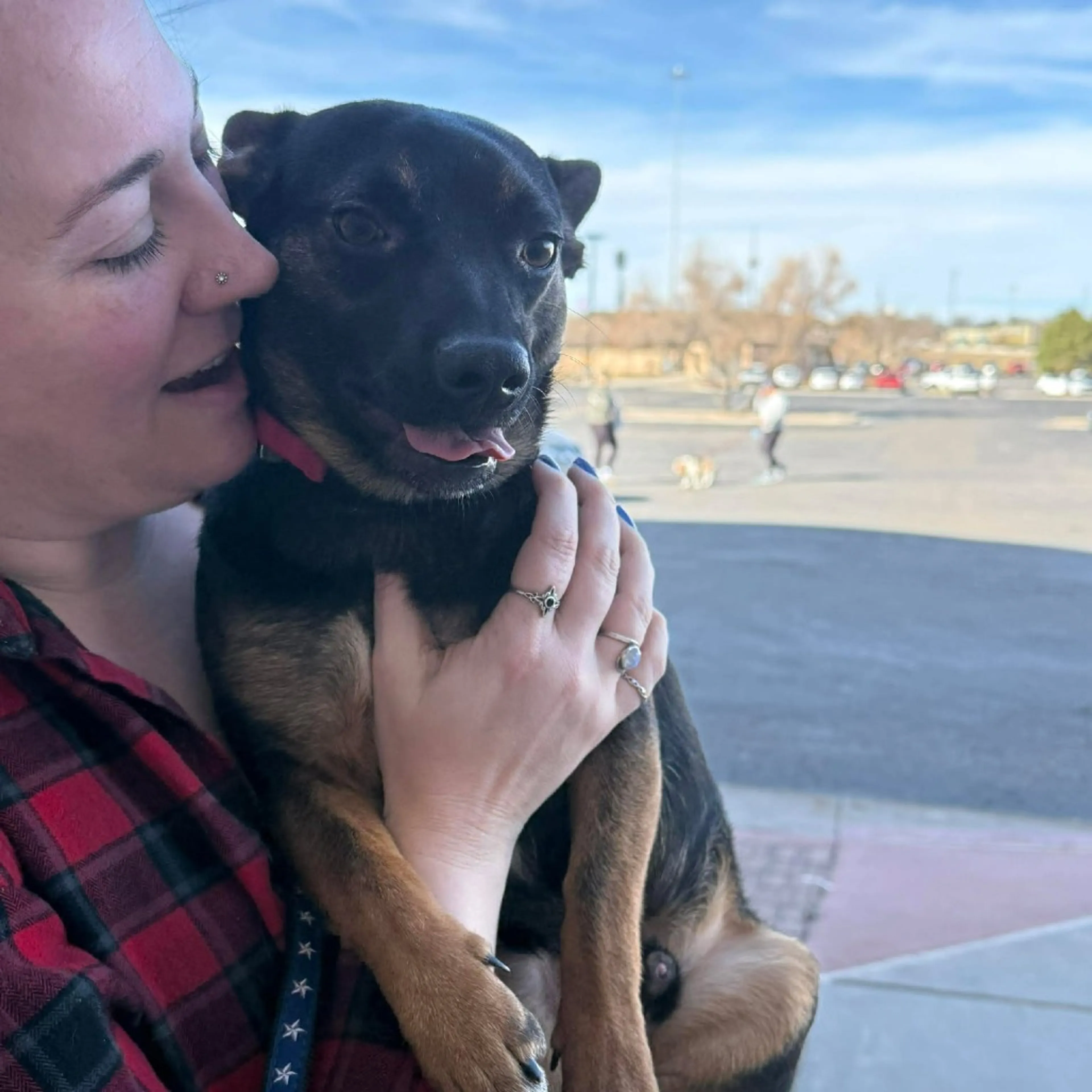 Found pet-31