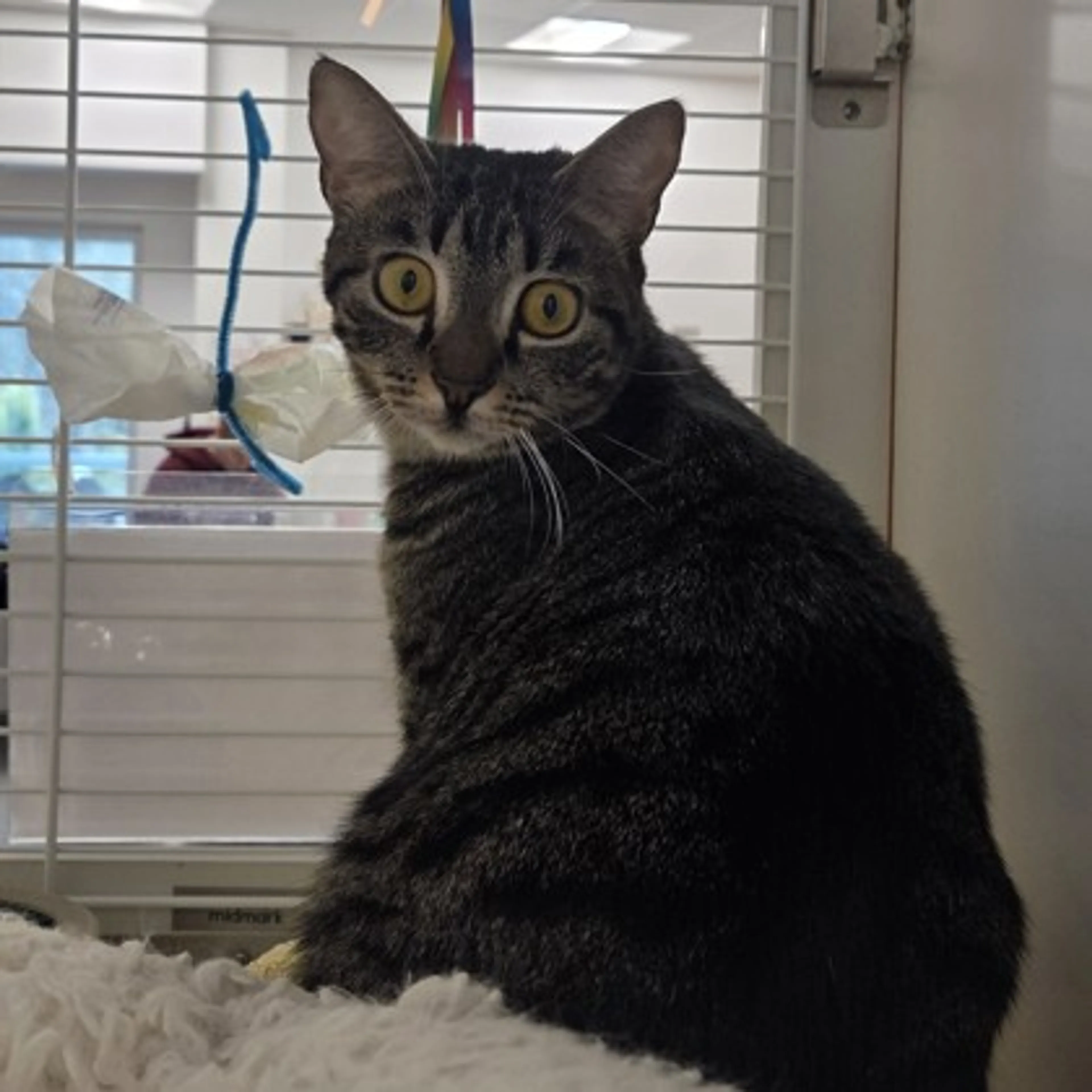 -0