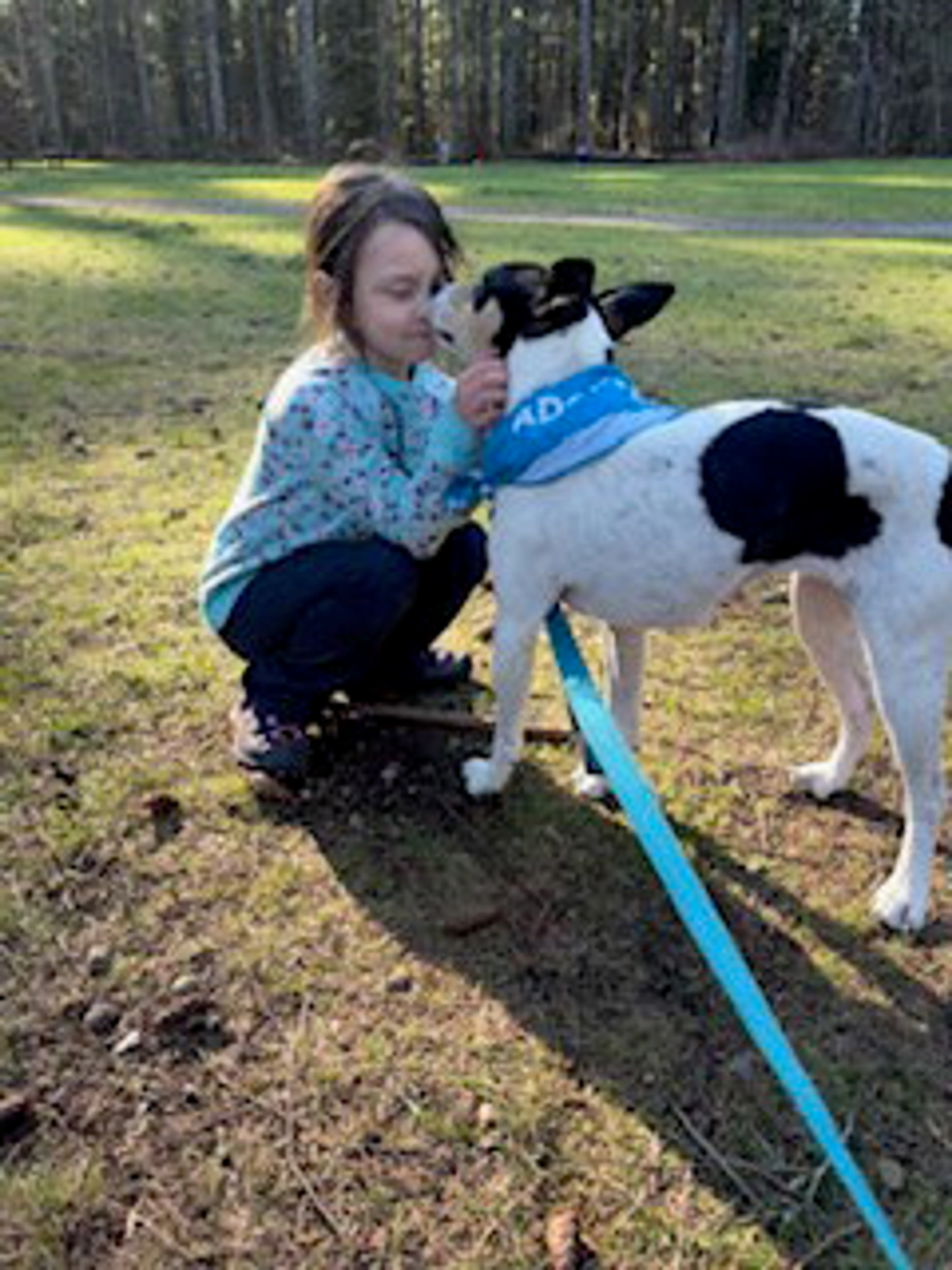 Found pet-6