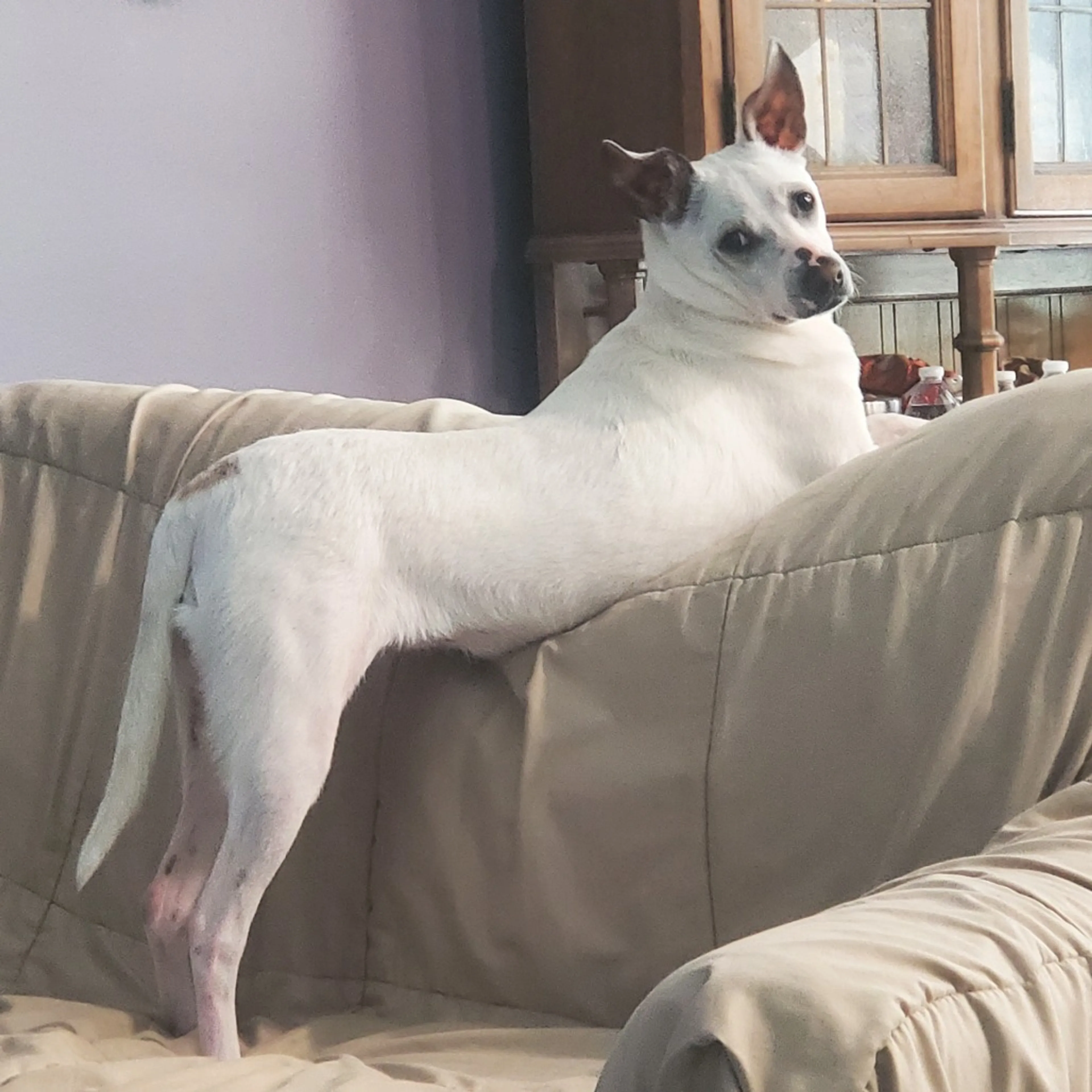 -0