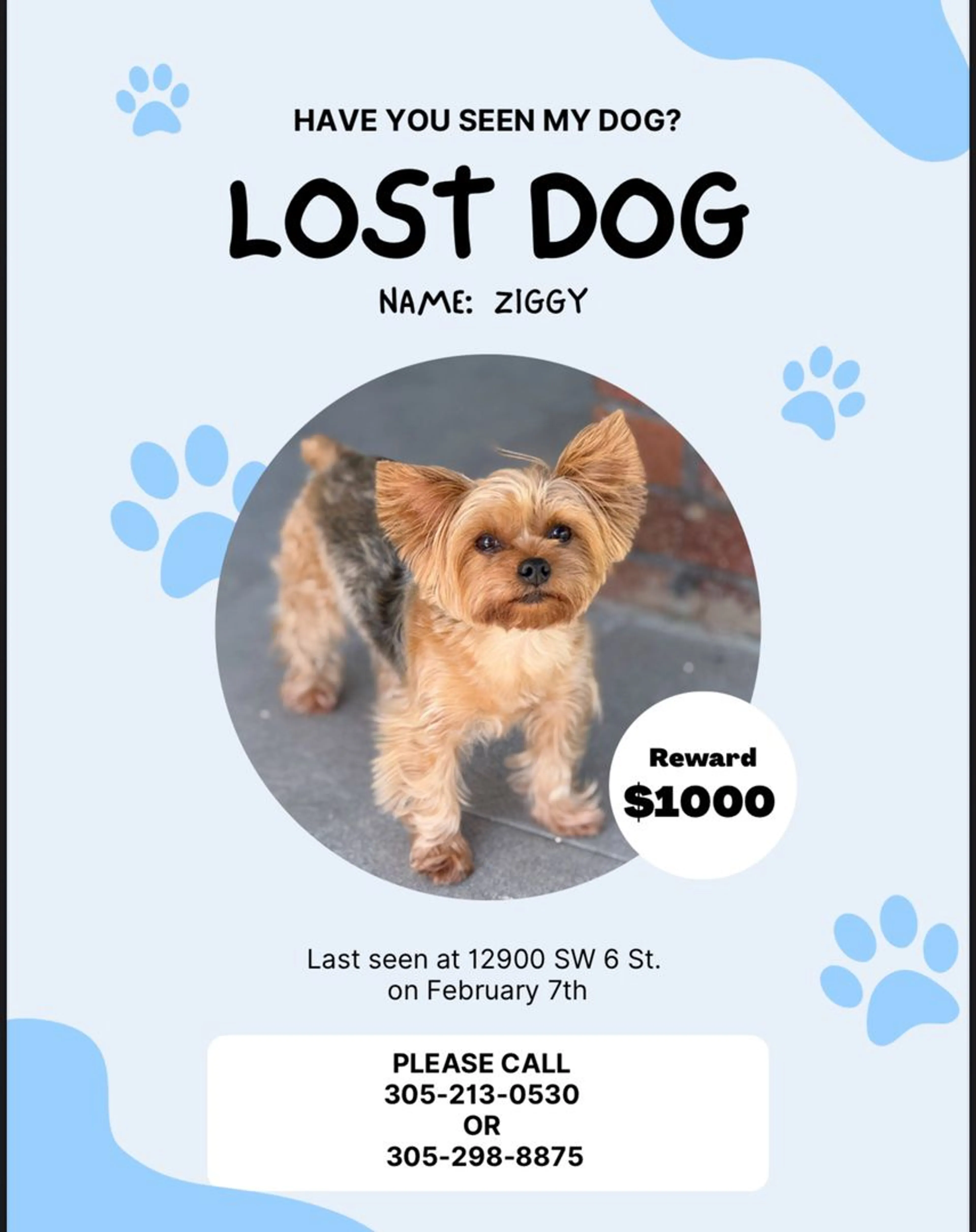 Lost pet