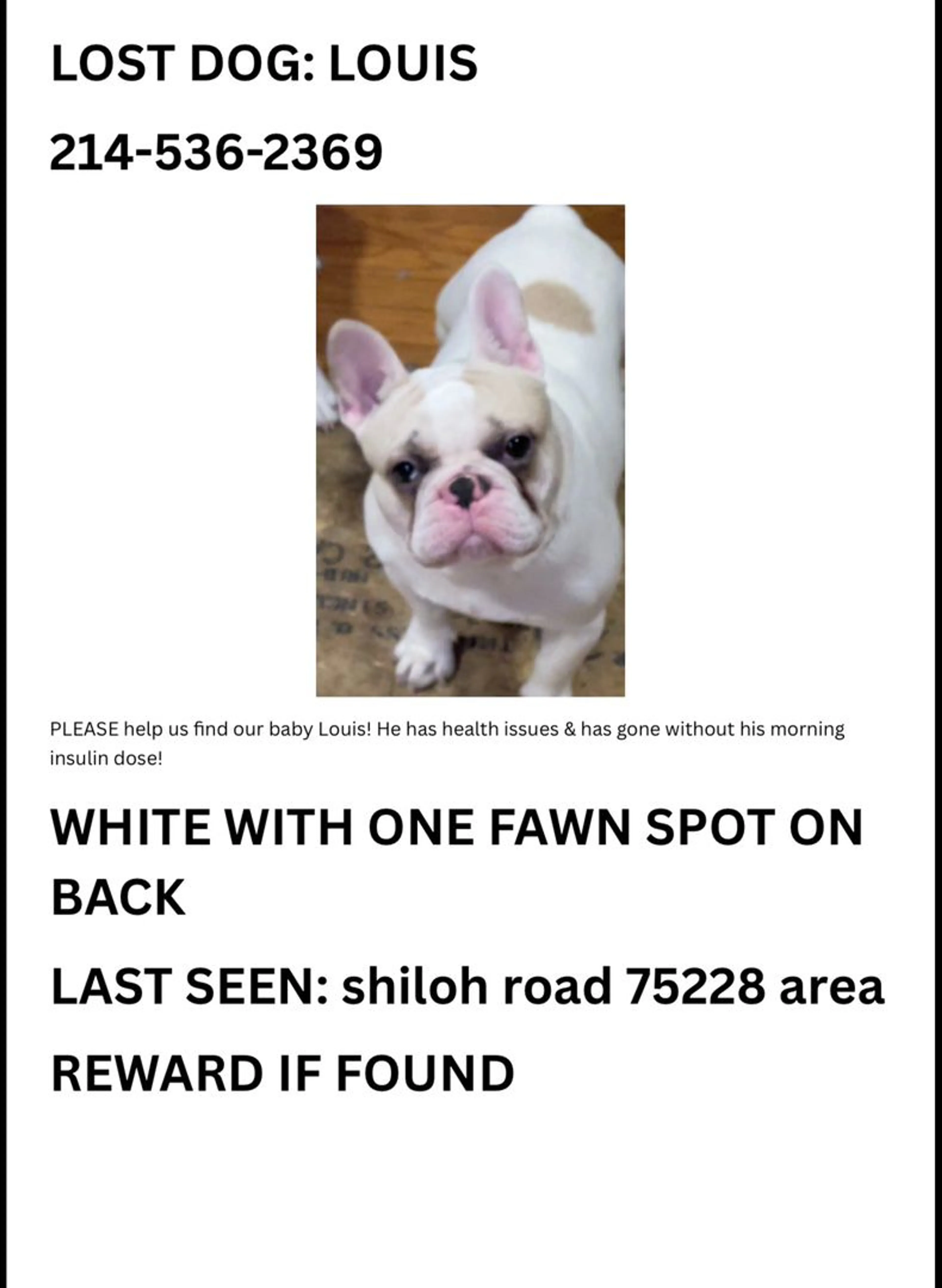 Lost pet