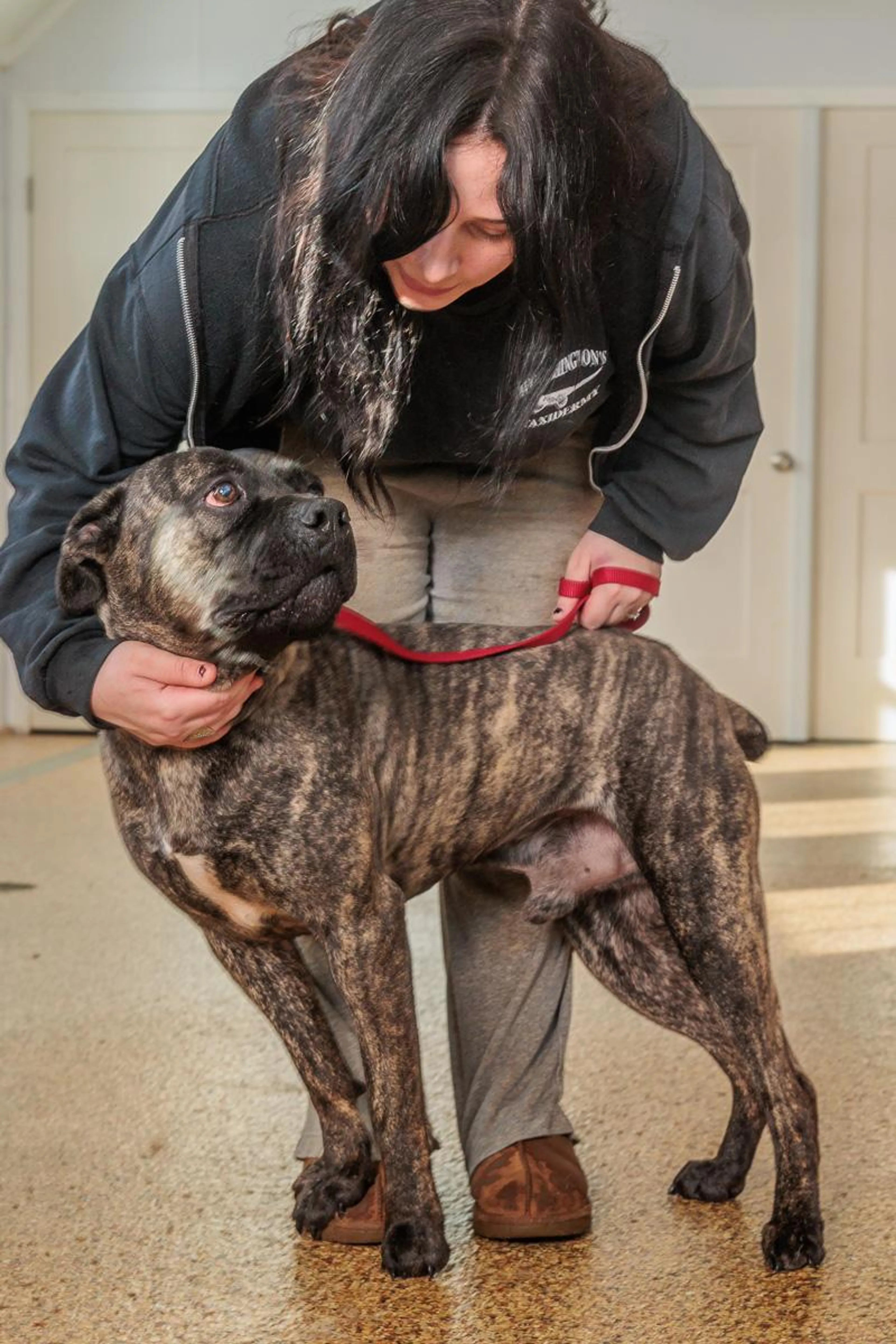 Found pet-2