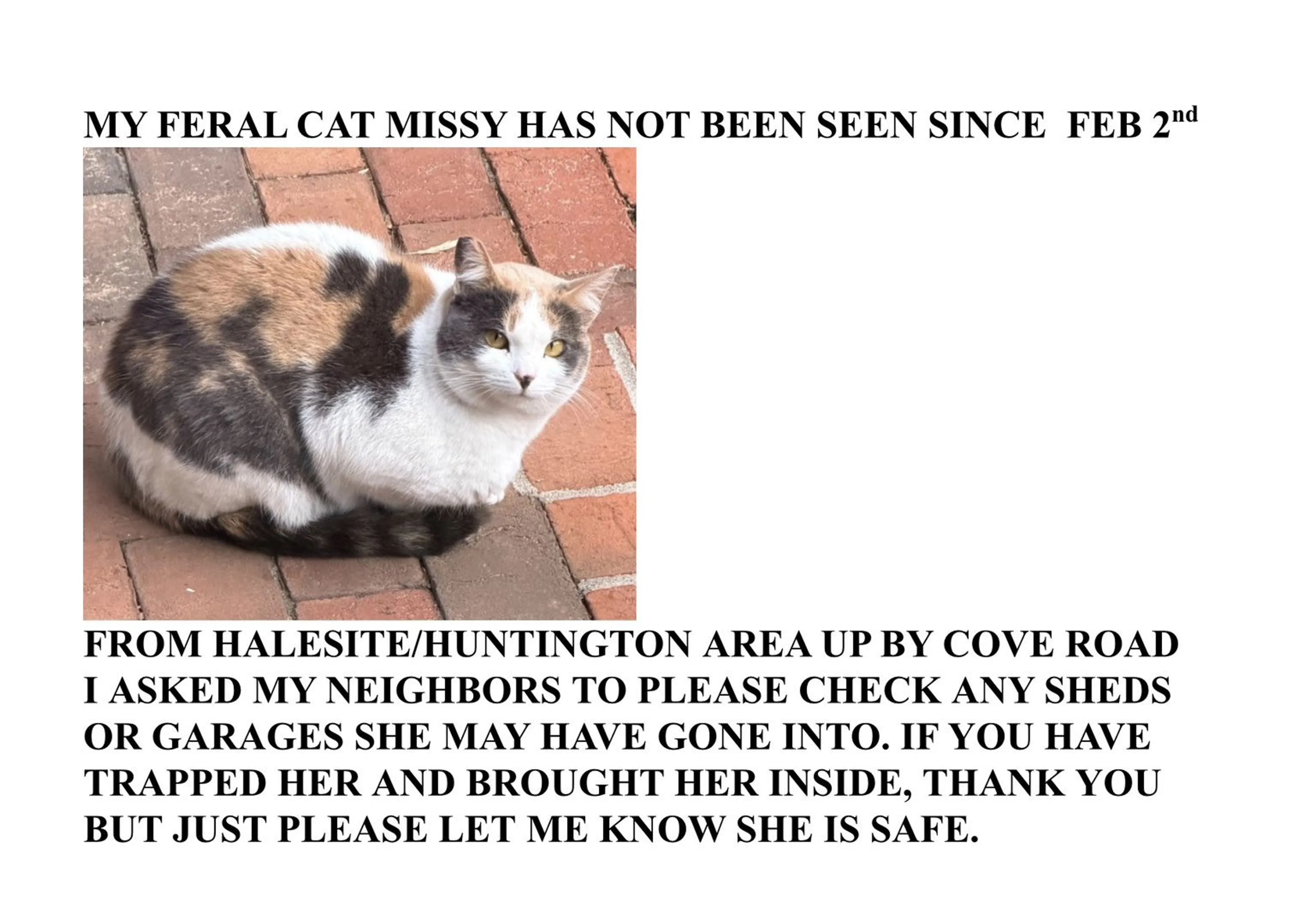 Lost pet