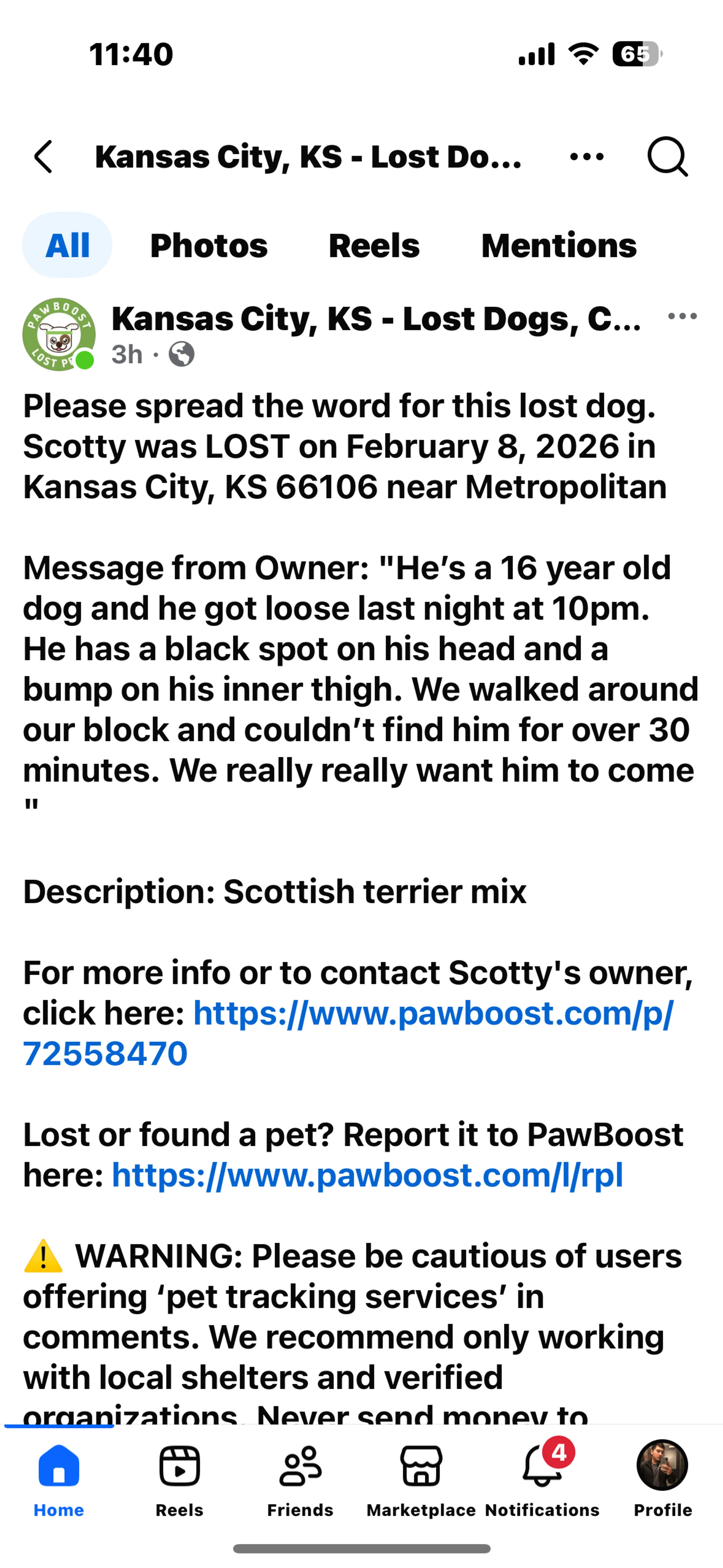 Lost pet-0