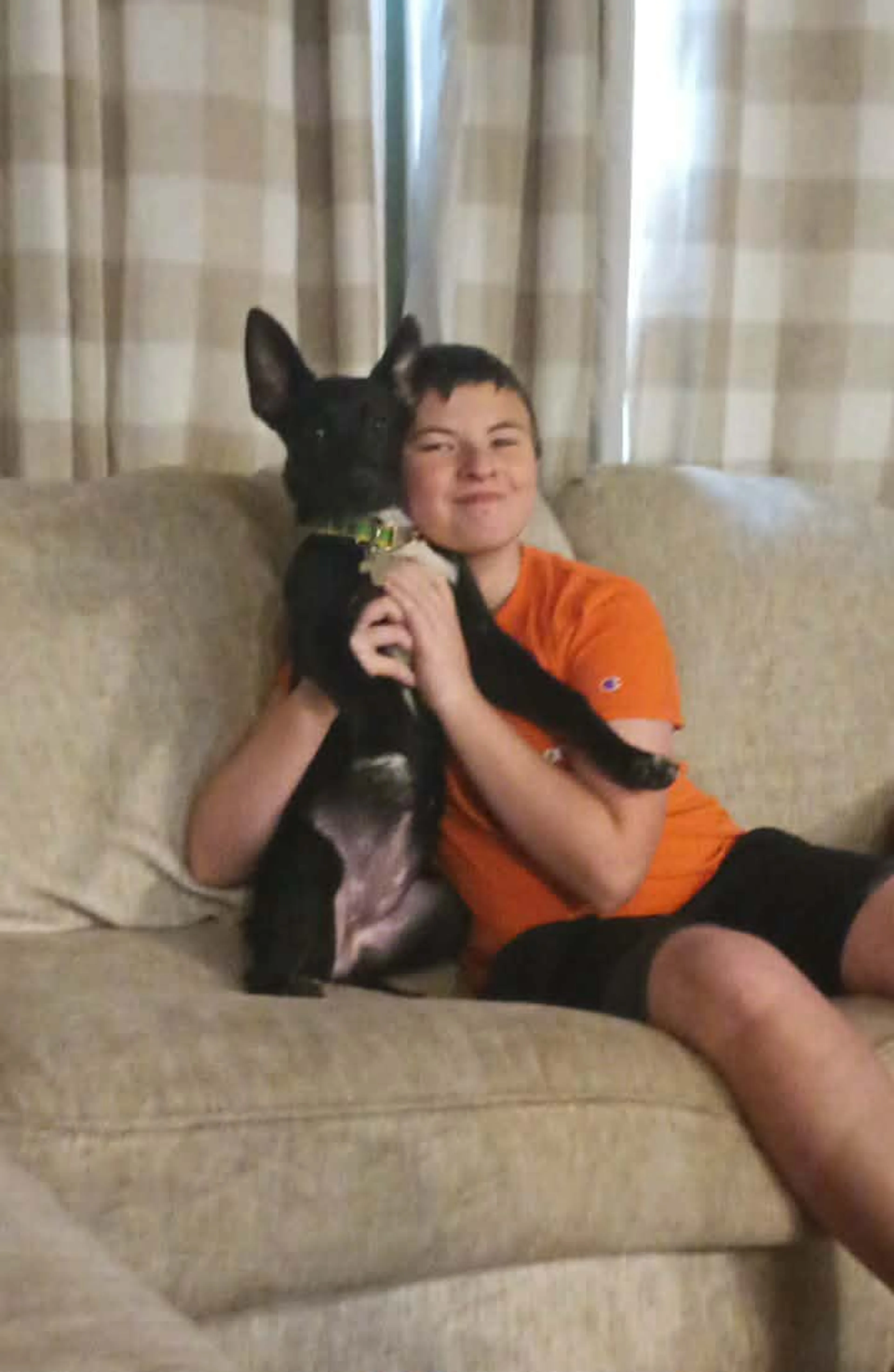 Found pet-6