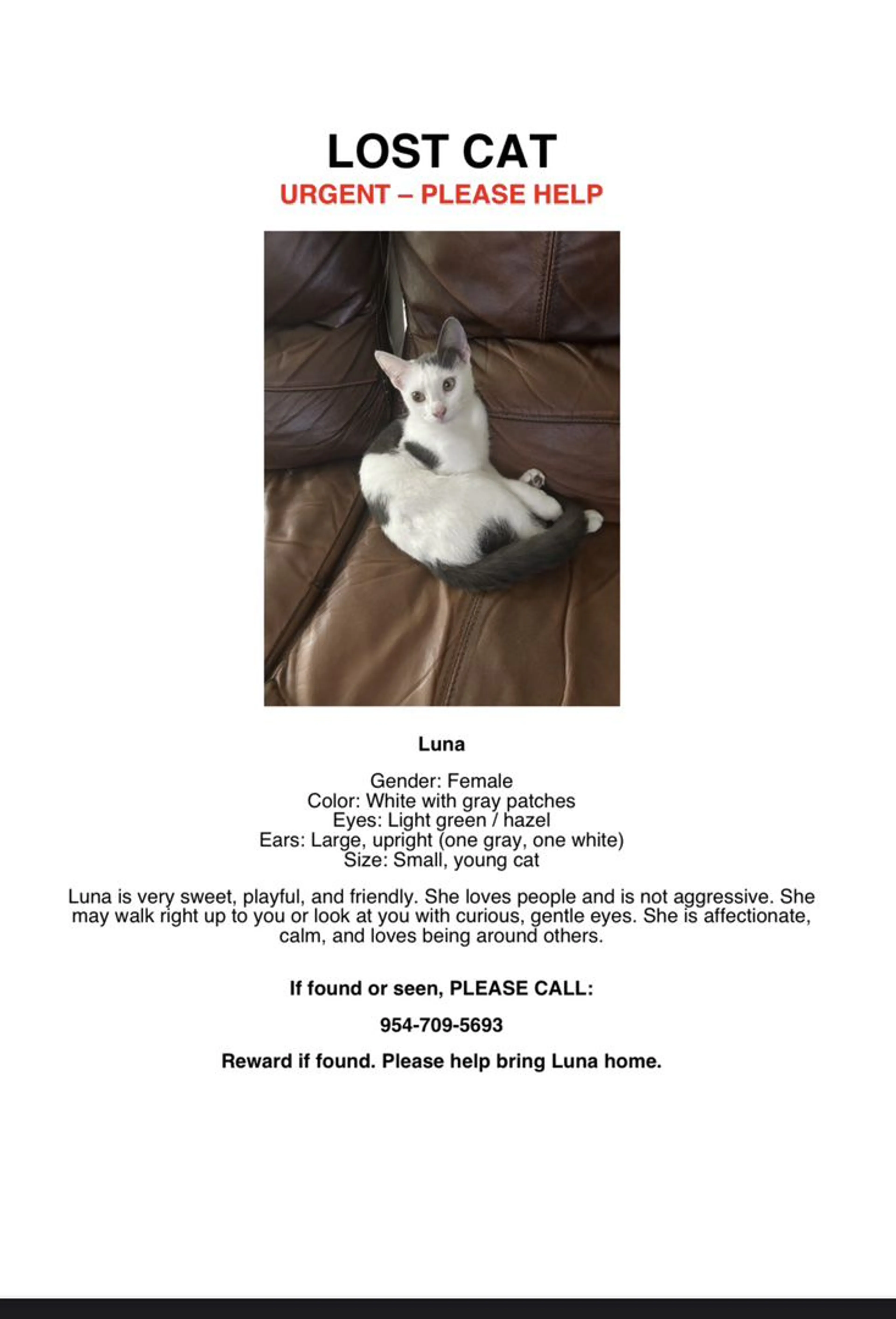 Lost pet