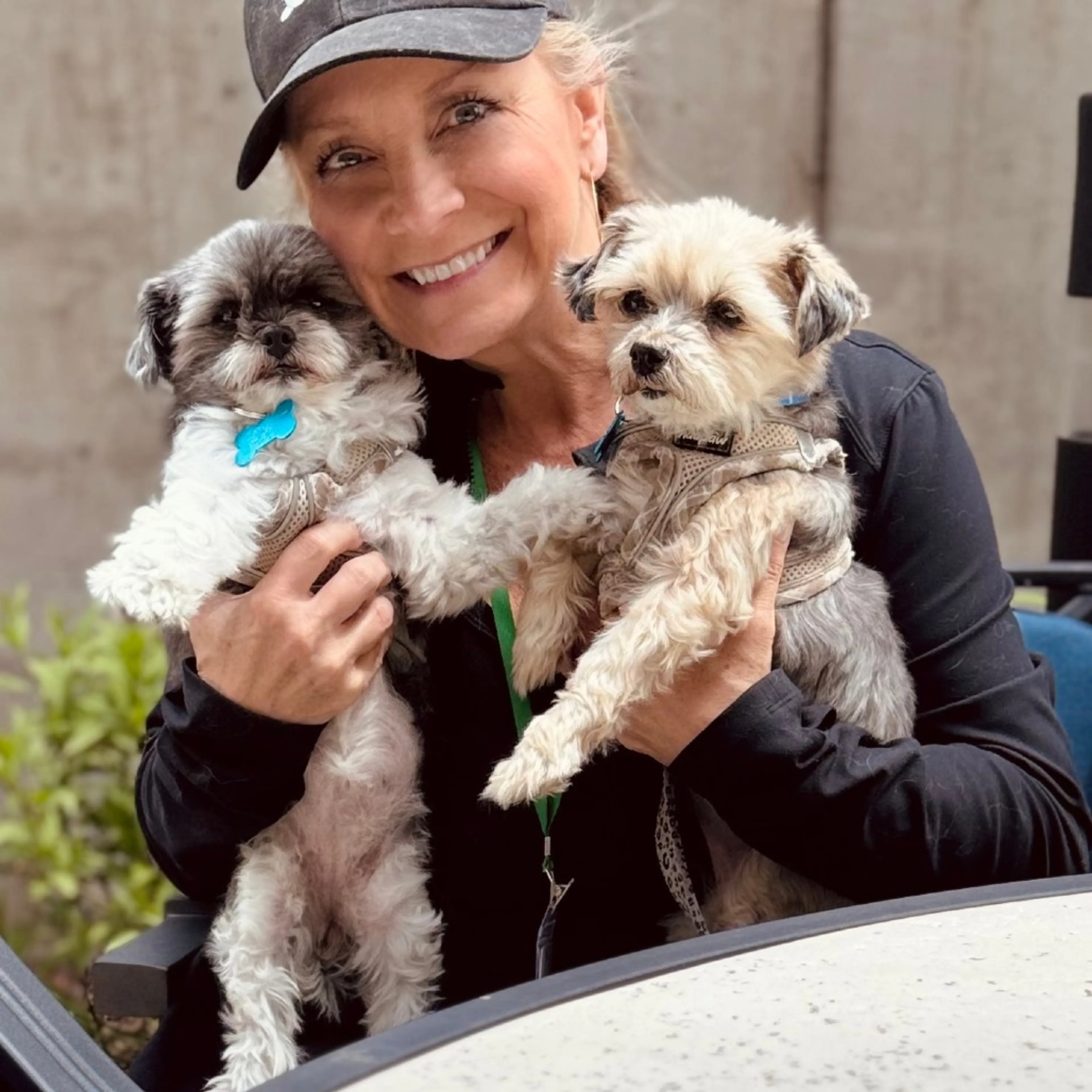 Found pet-4