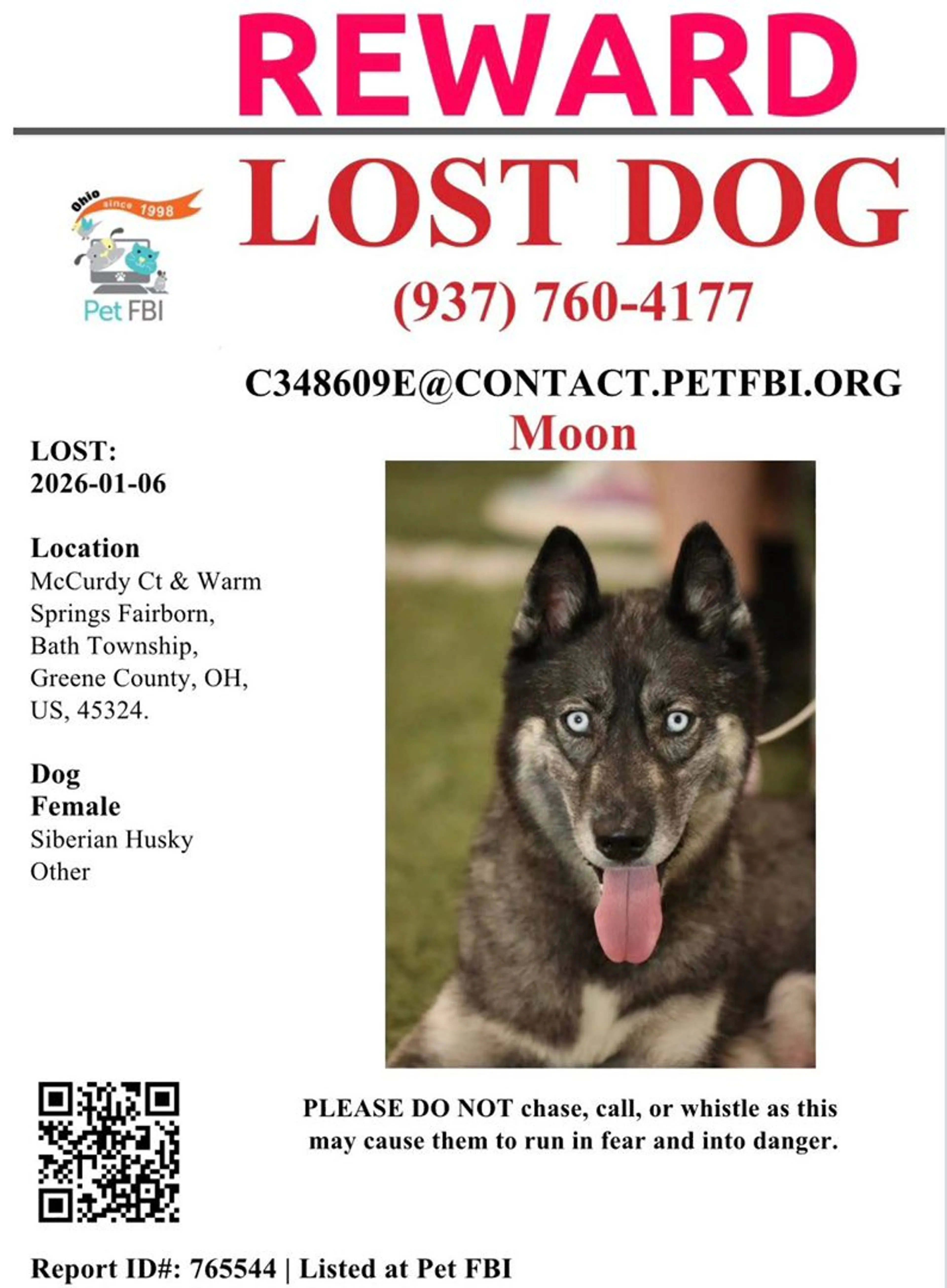 Lost pet