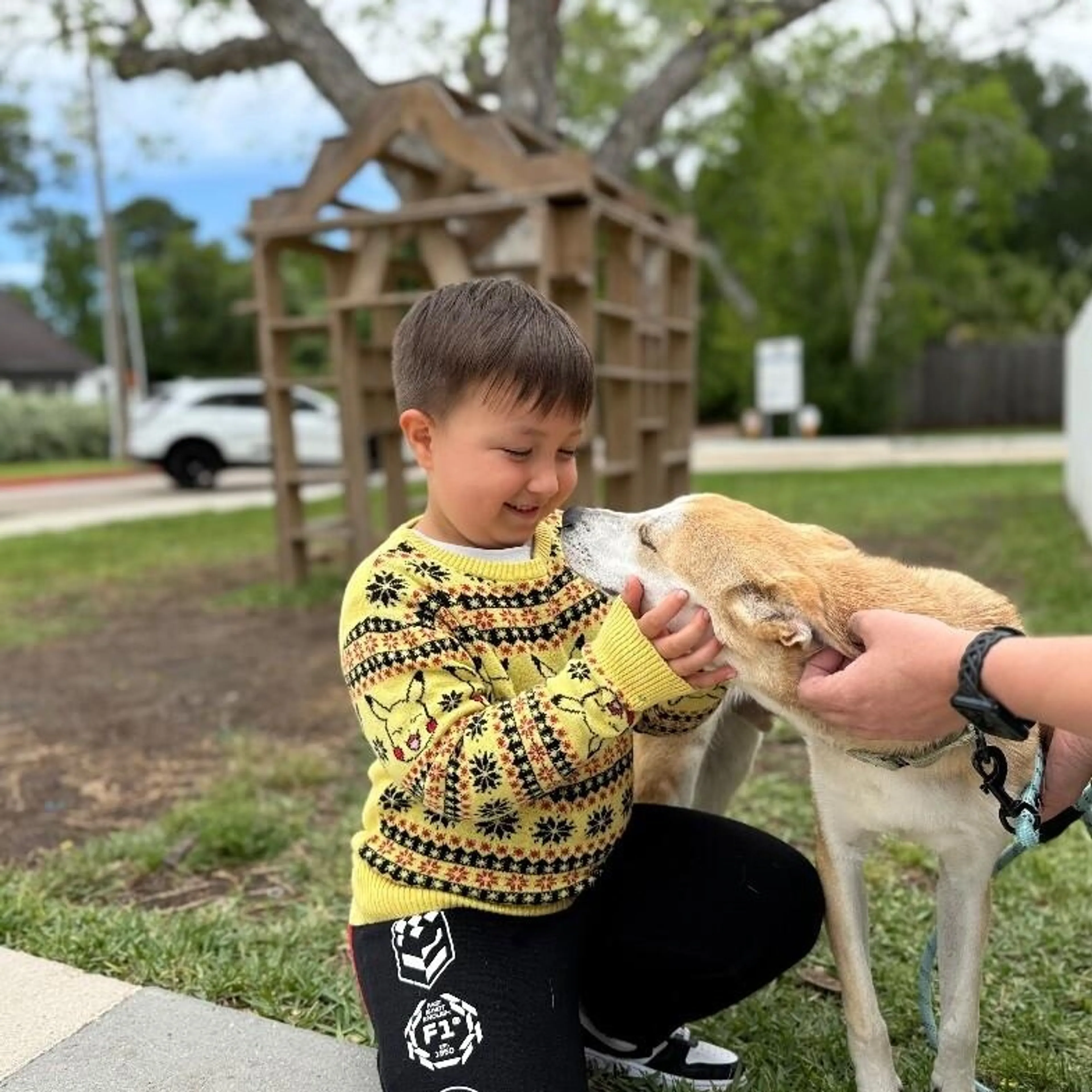 Found pet-1