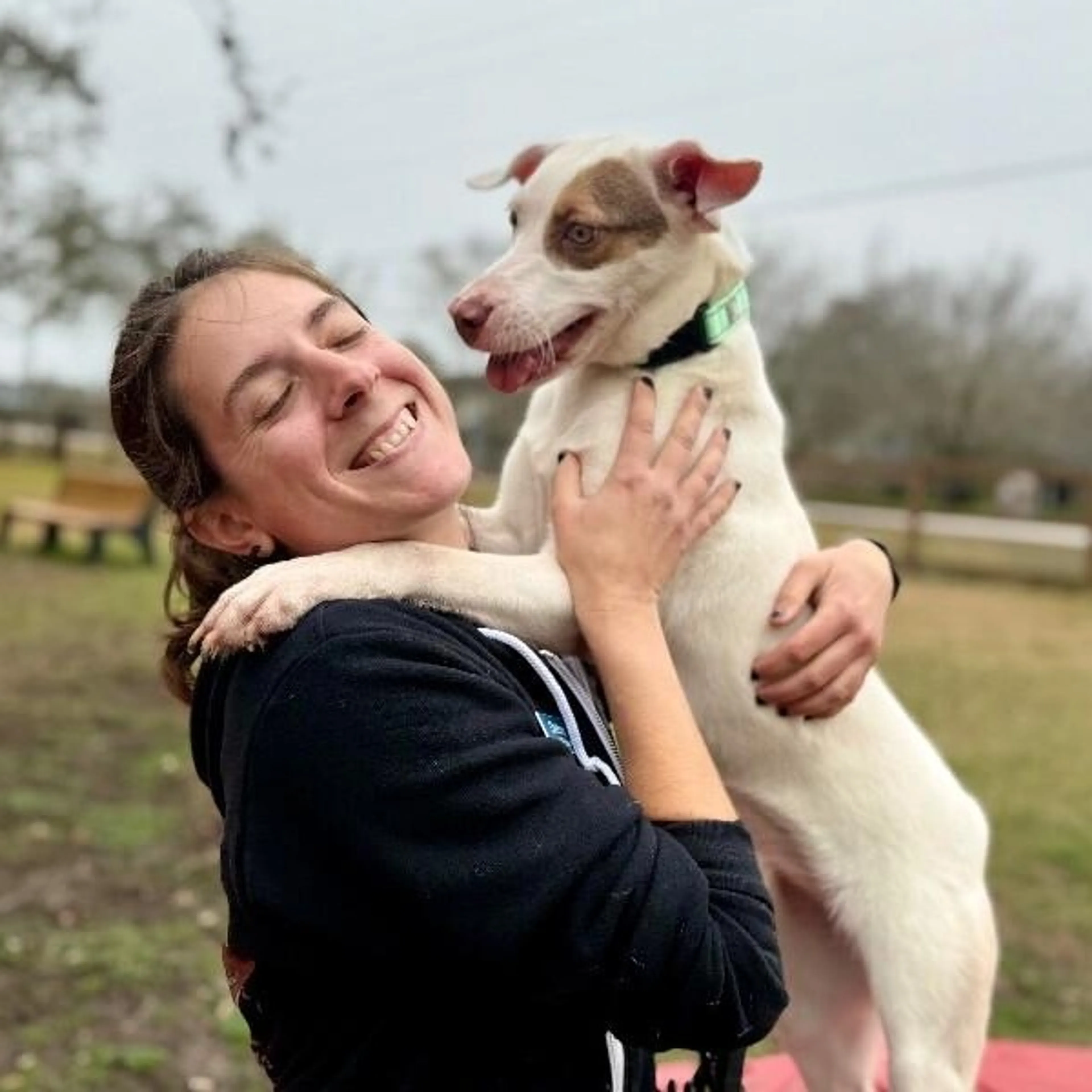Found pet-2