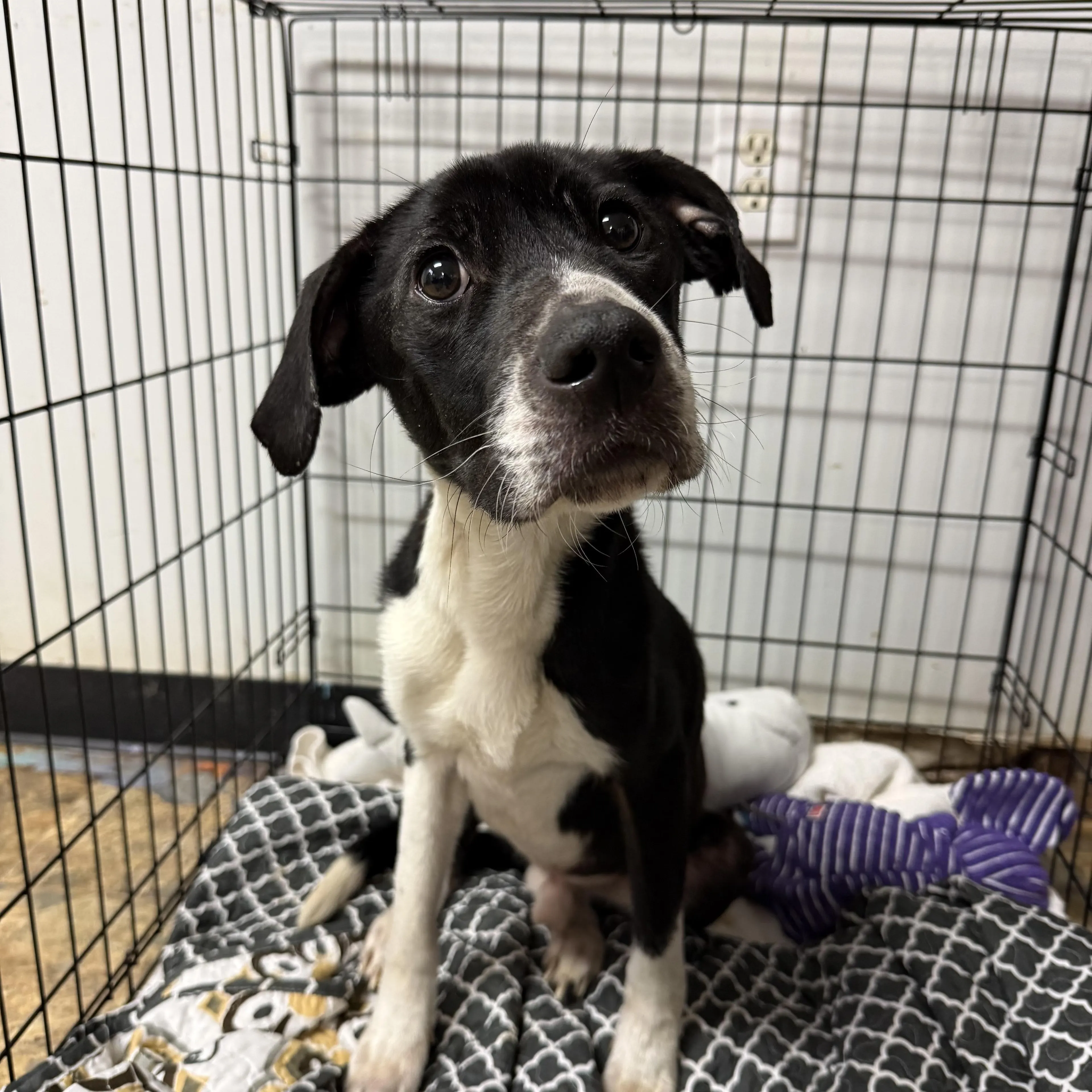 -0