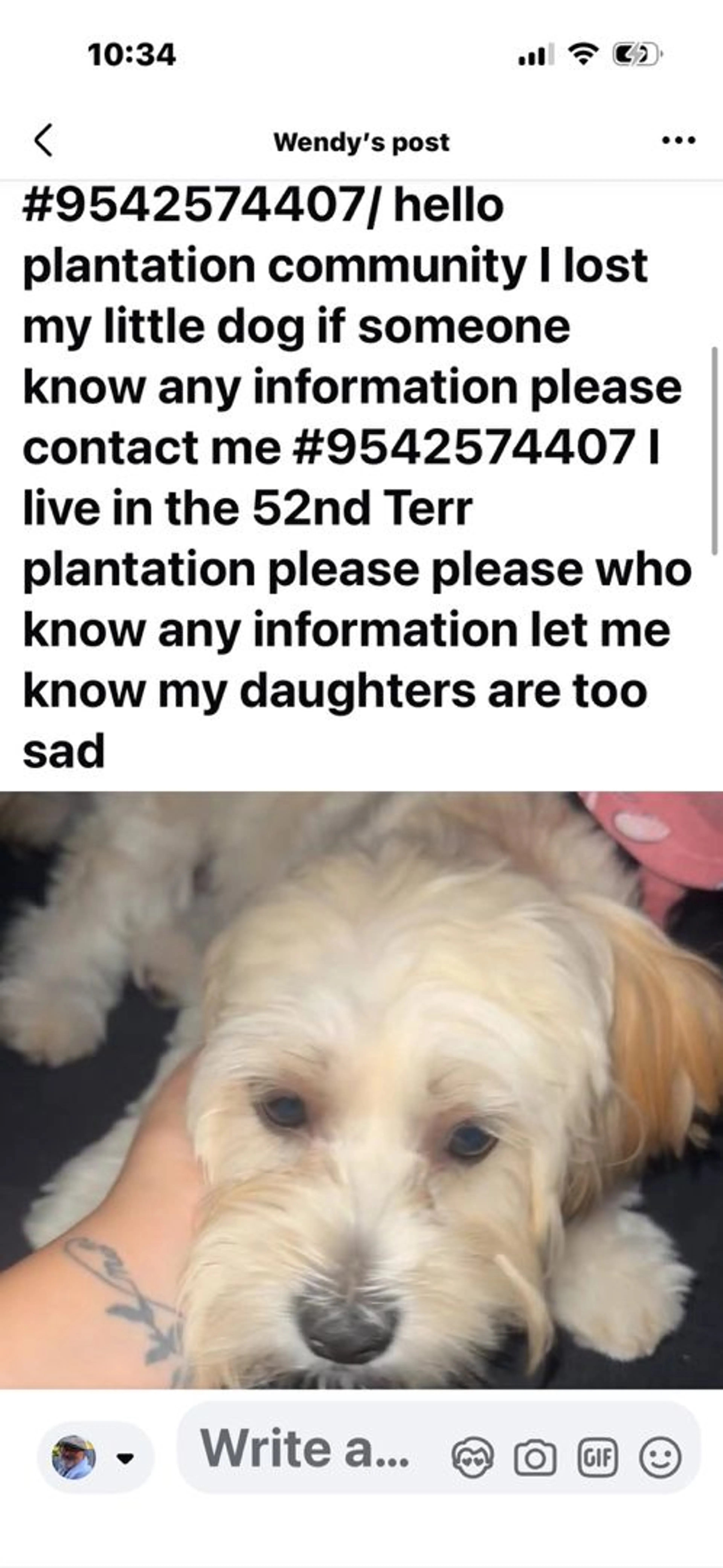 Lost pet
