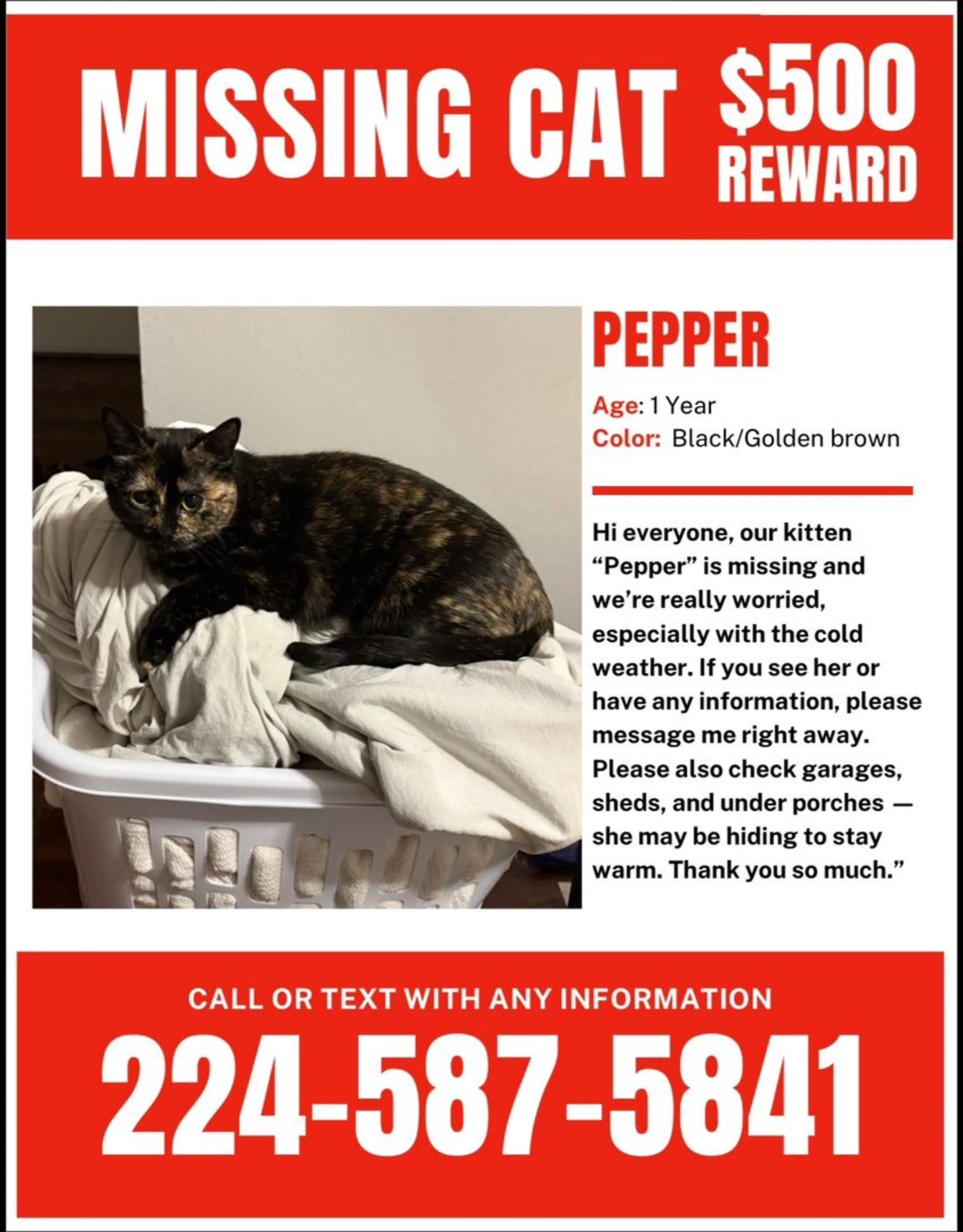 Lost pet