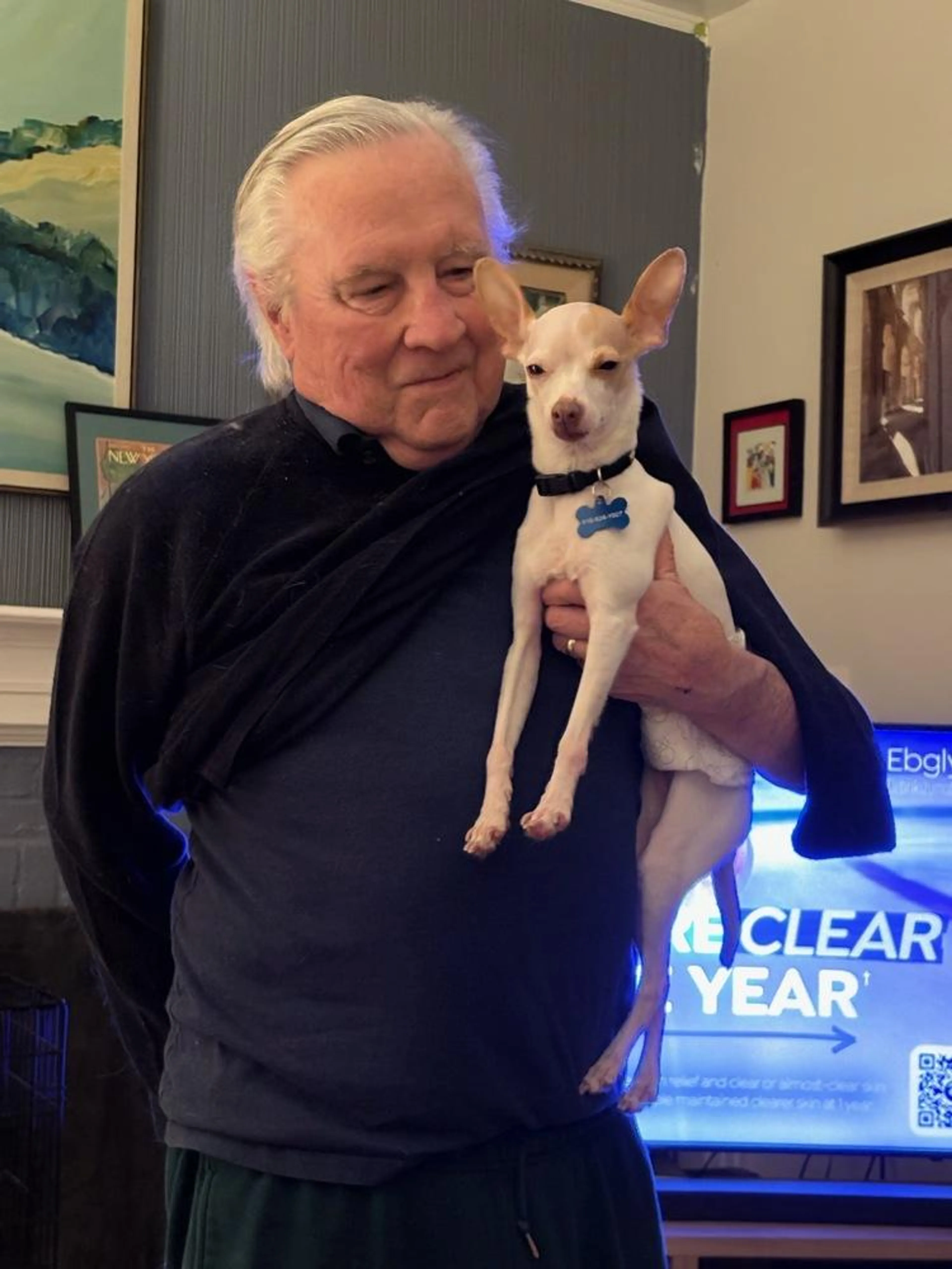 Found pet-3