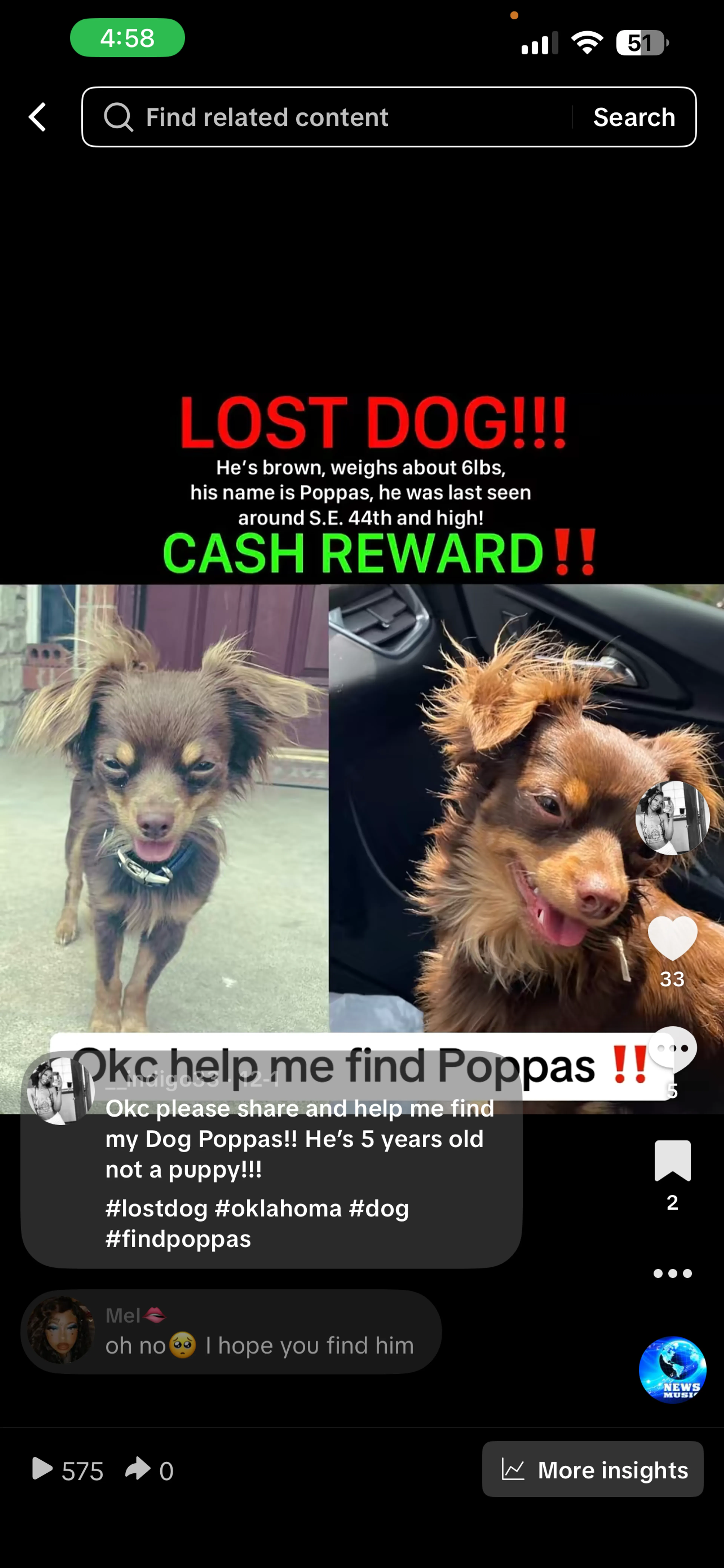 Lost pet