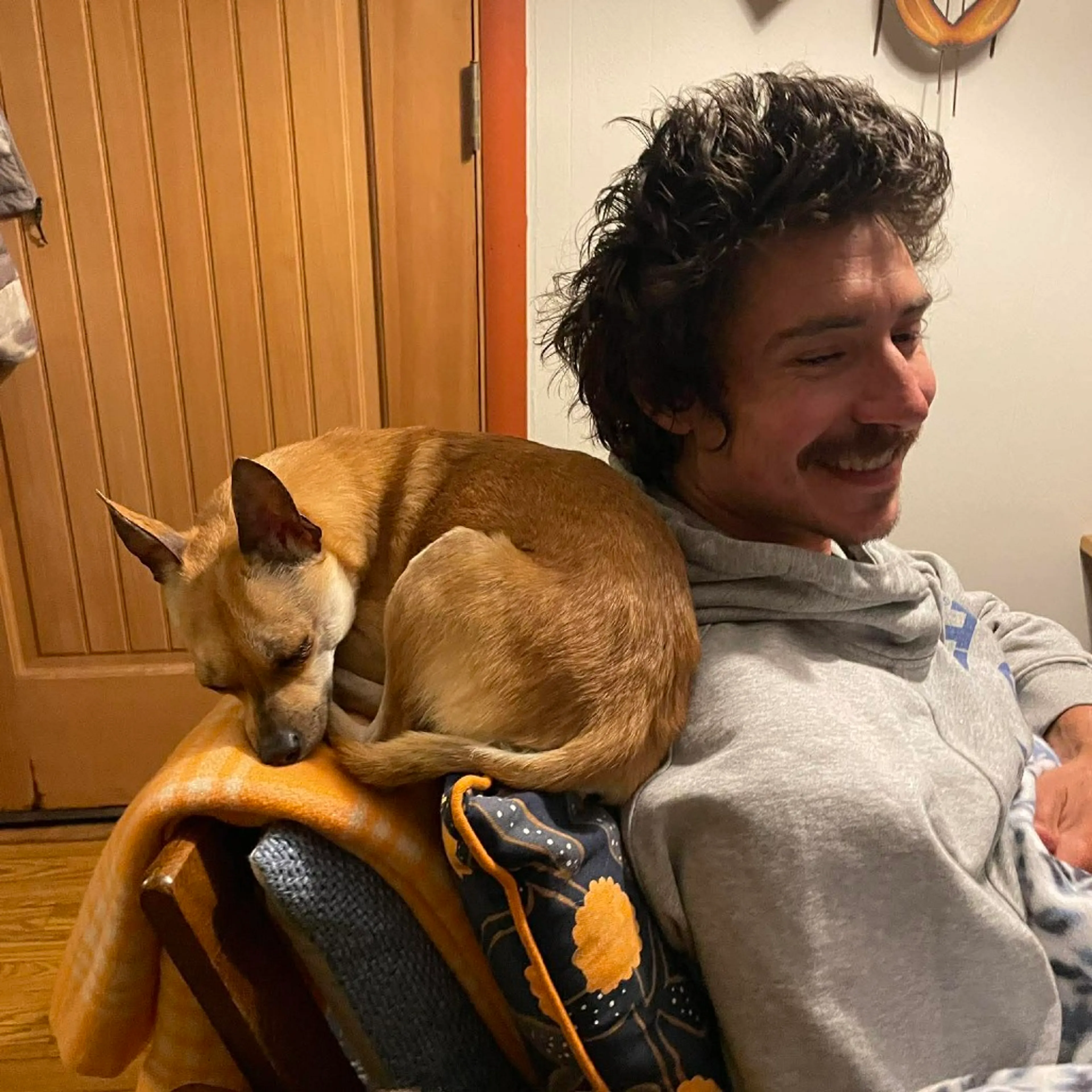 Found pet-4