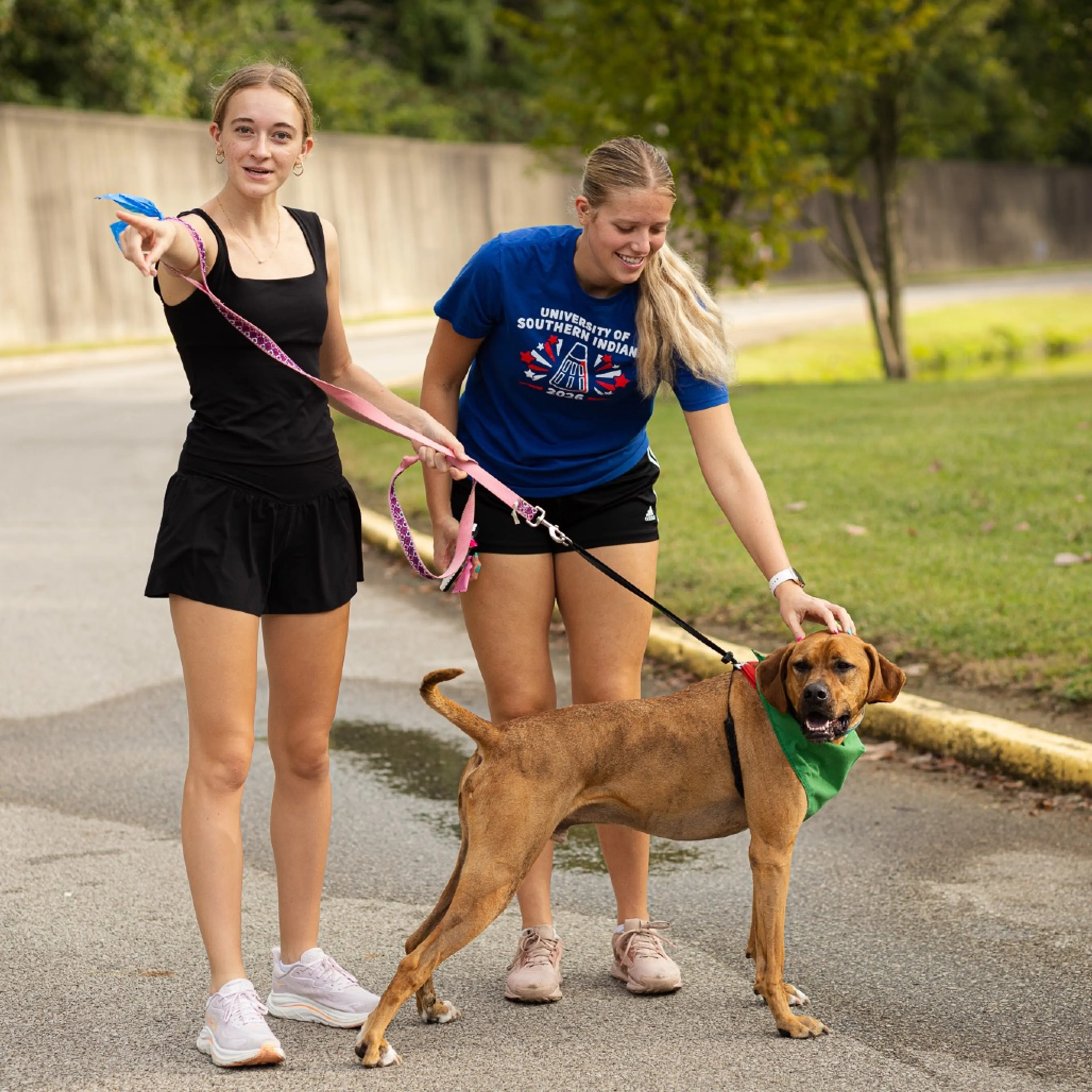cdn image