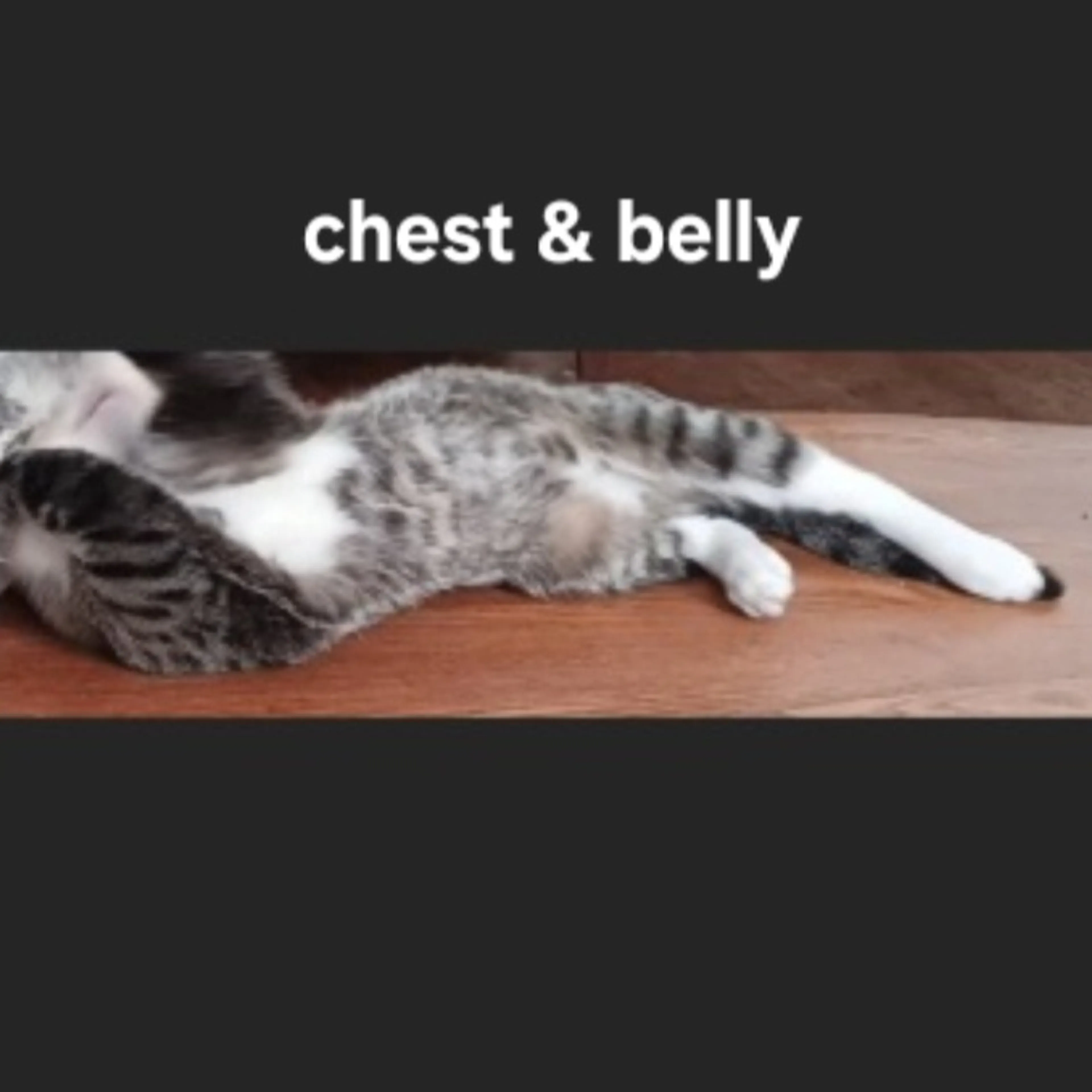 -3
