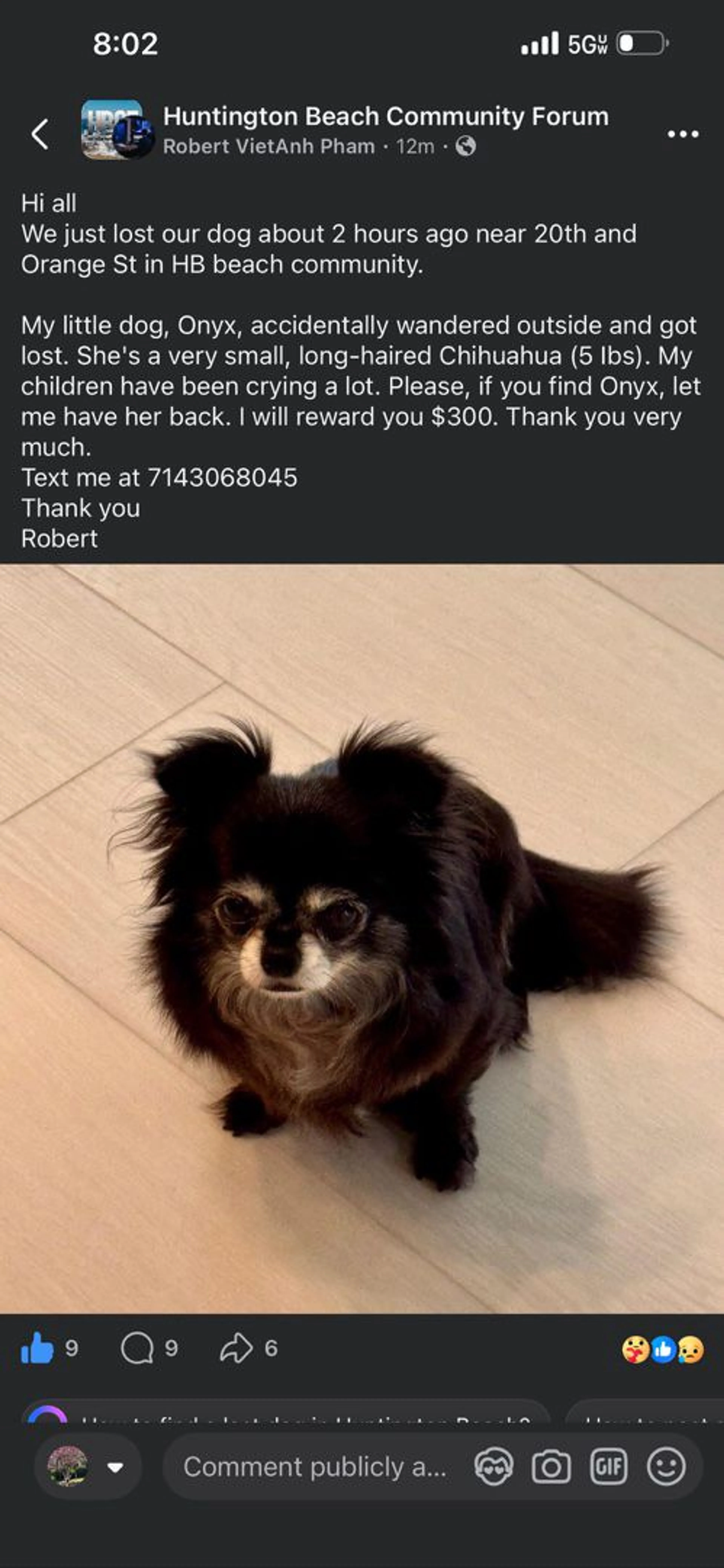 Lost pet