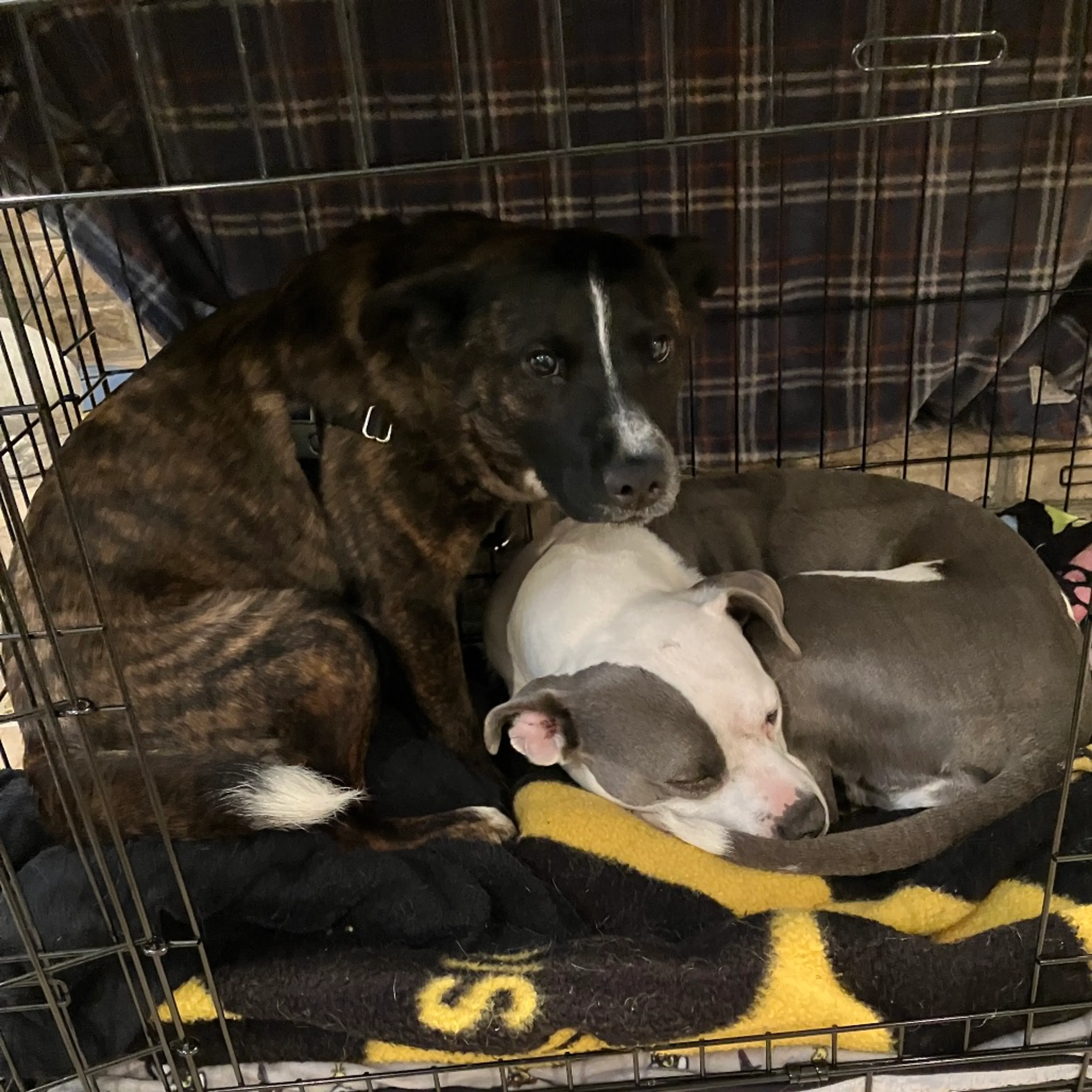 -15