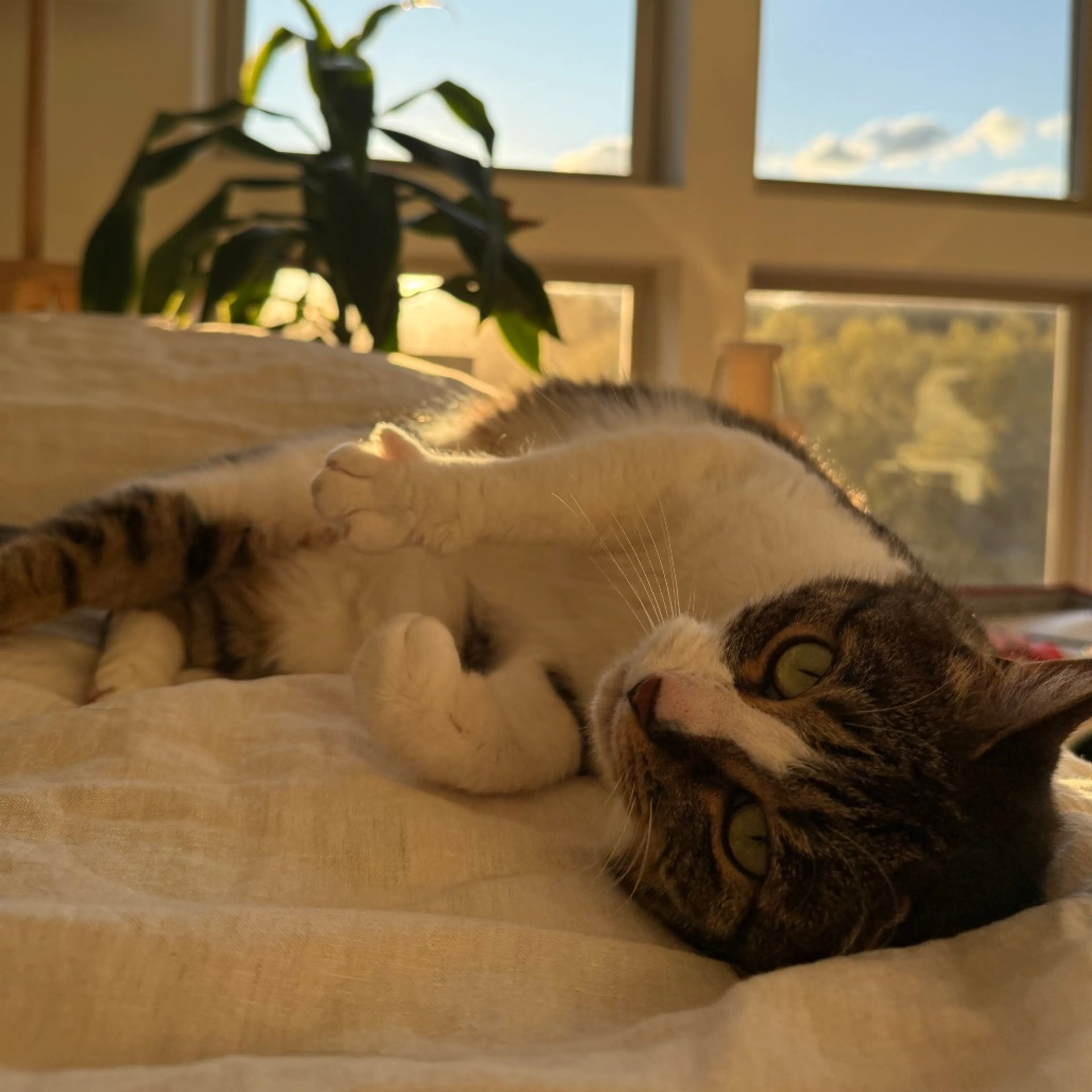 -8