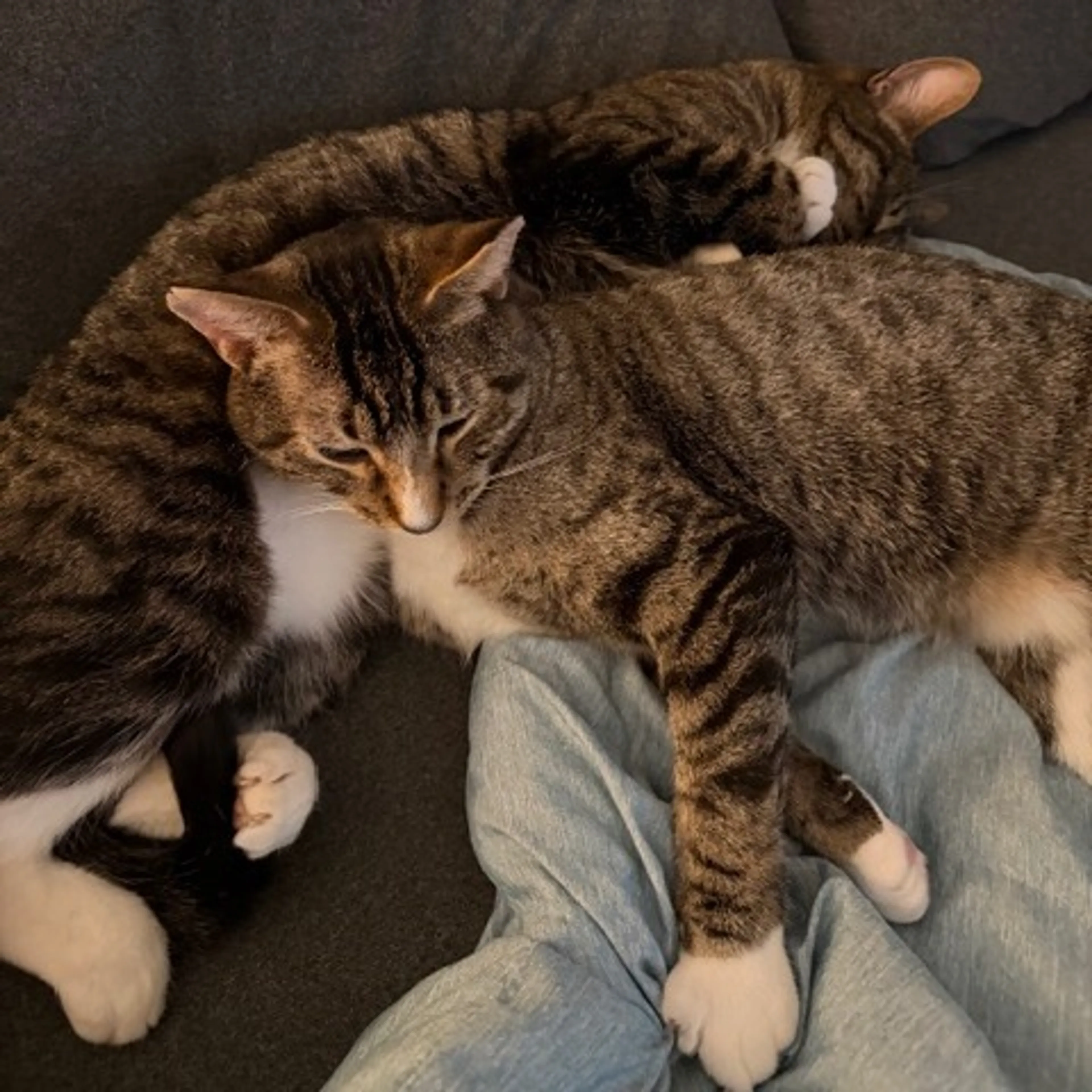 -18