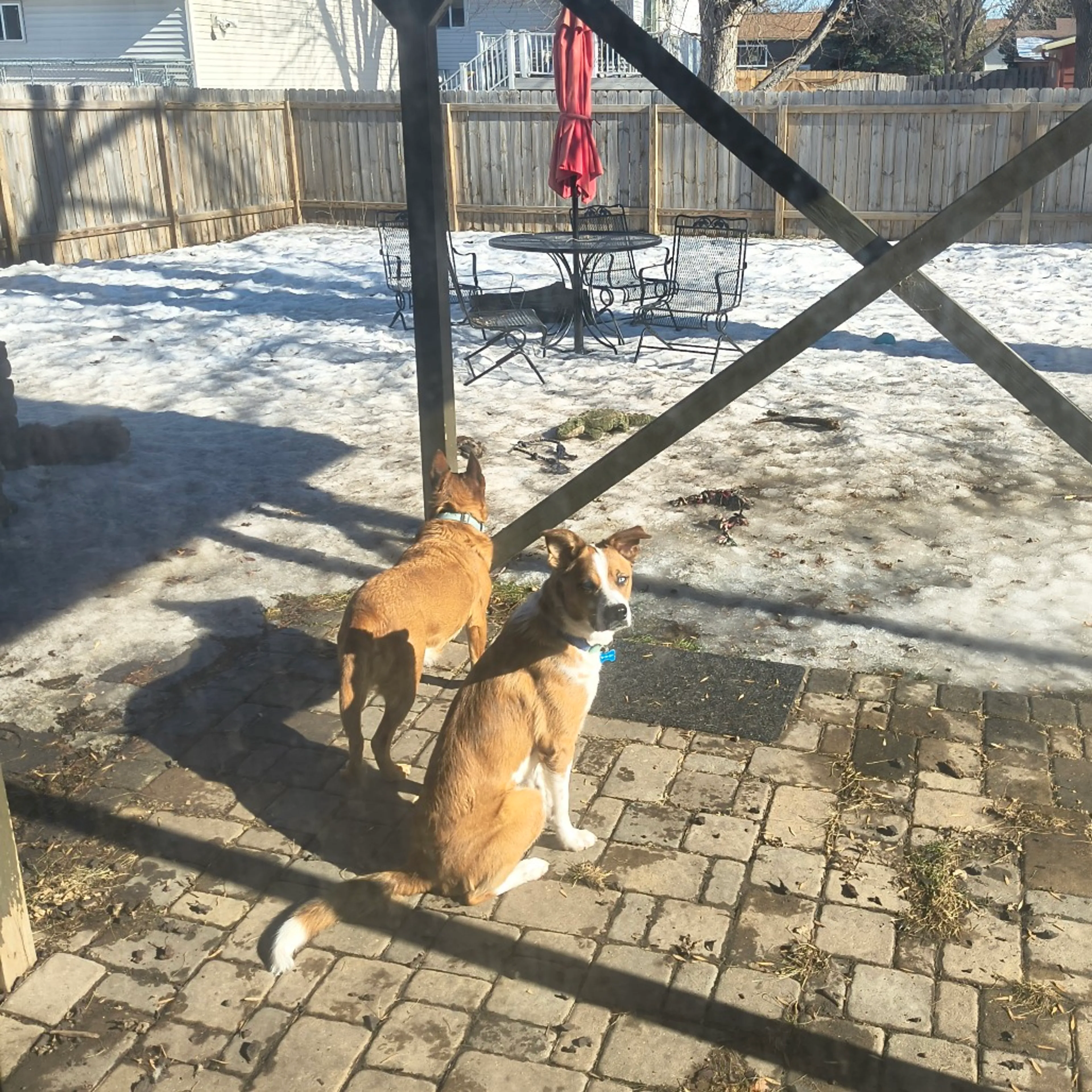 -12