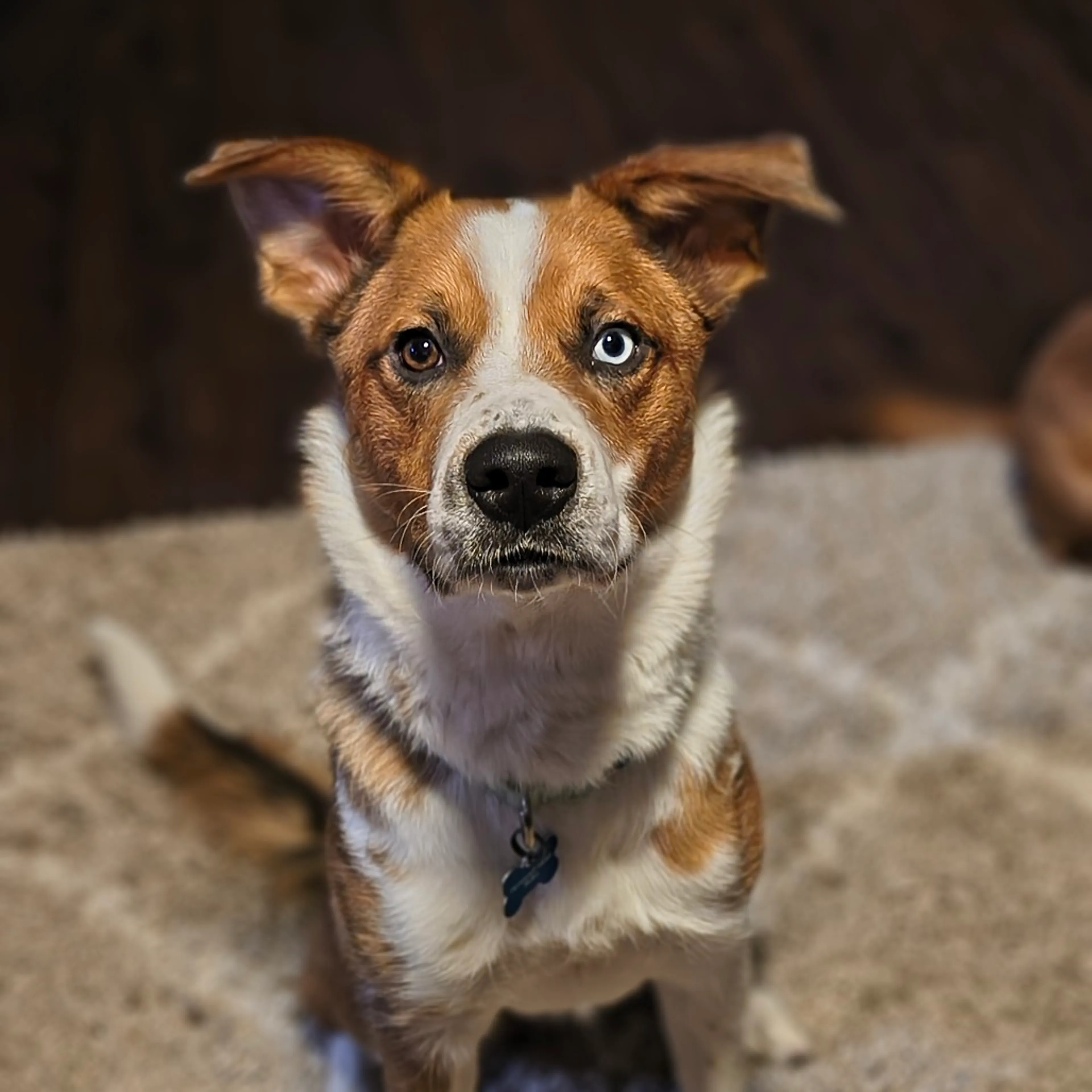 -6