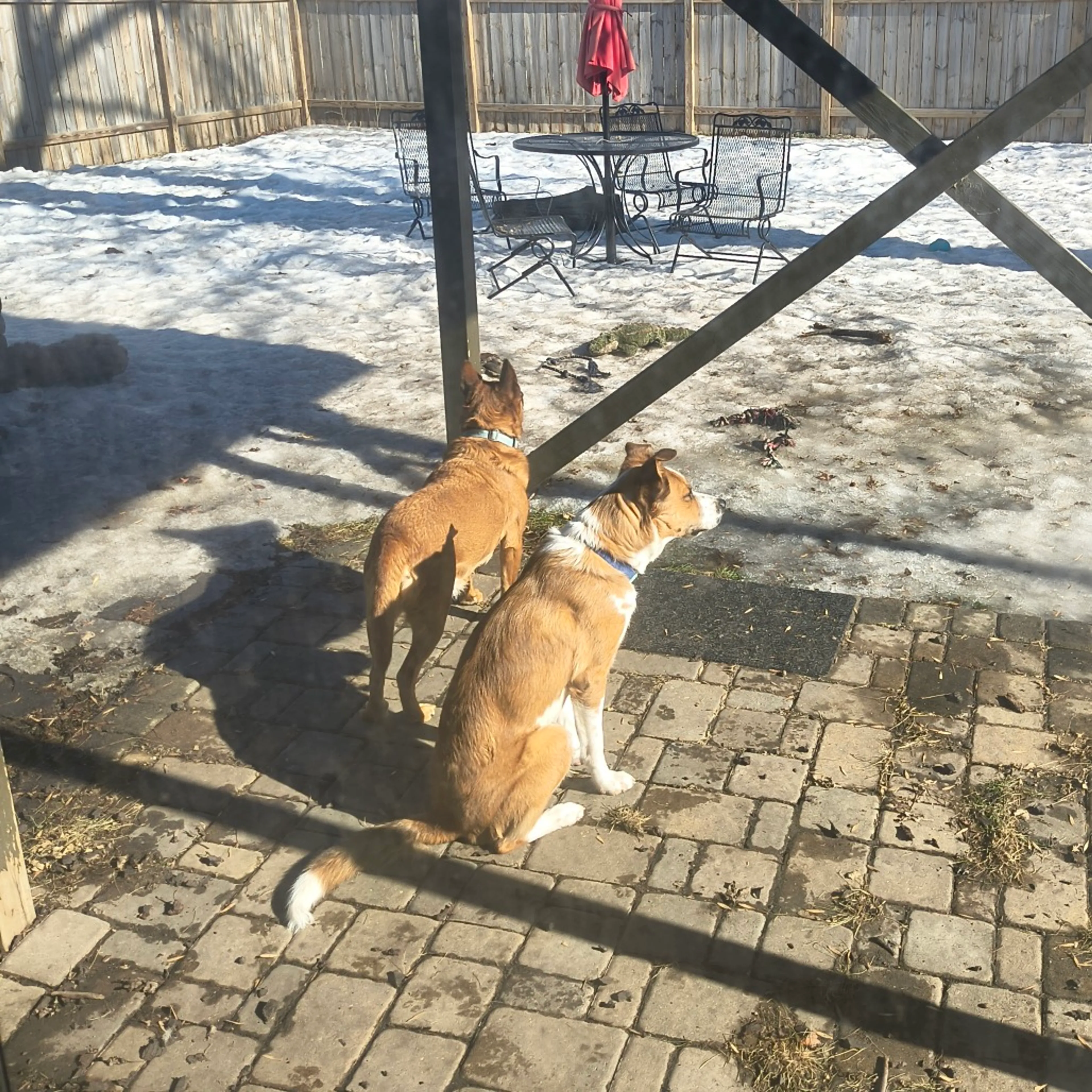 -11