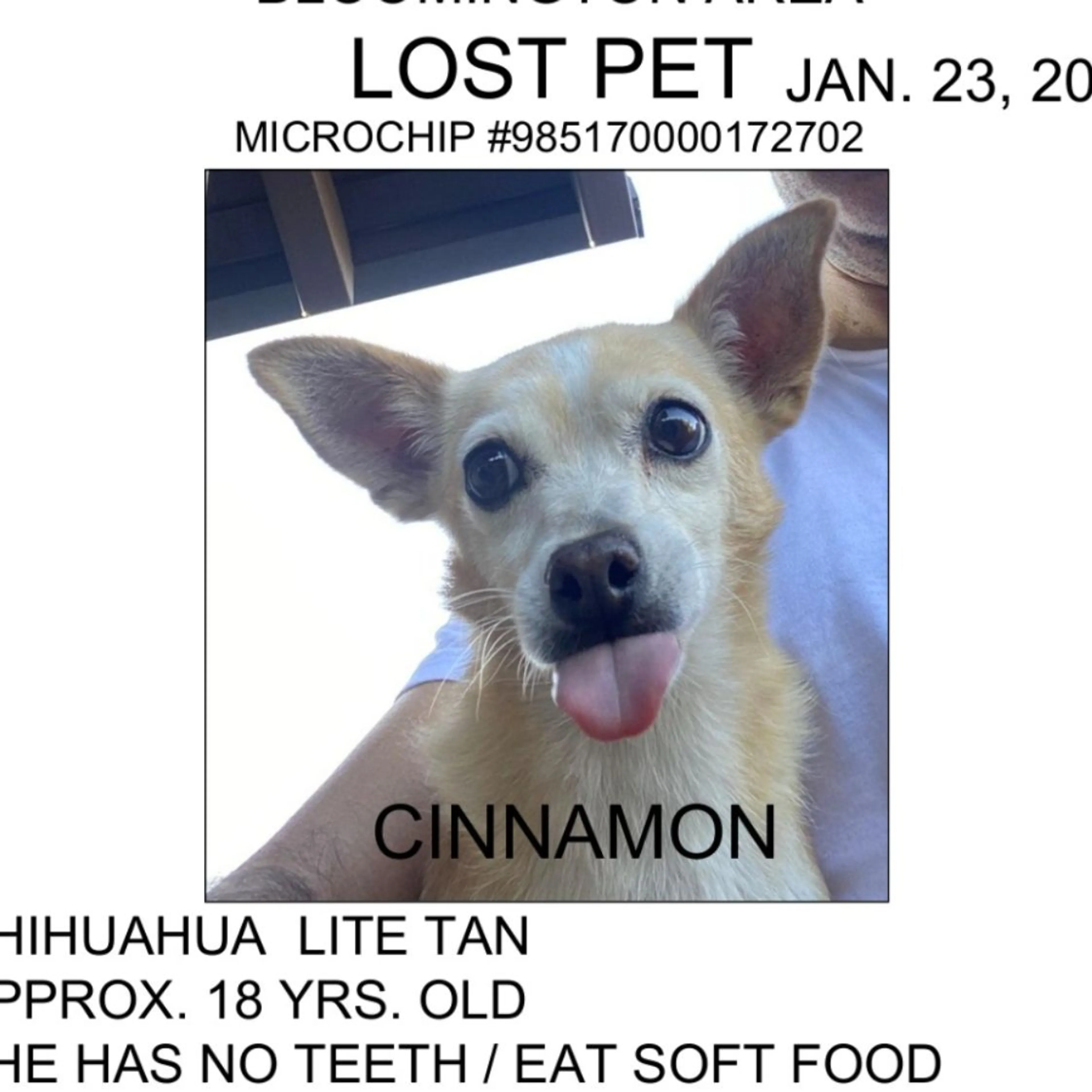 Lost pet