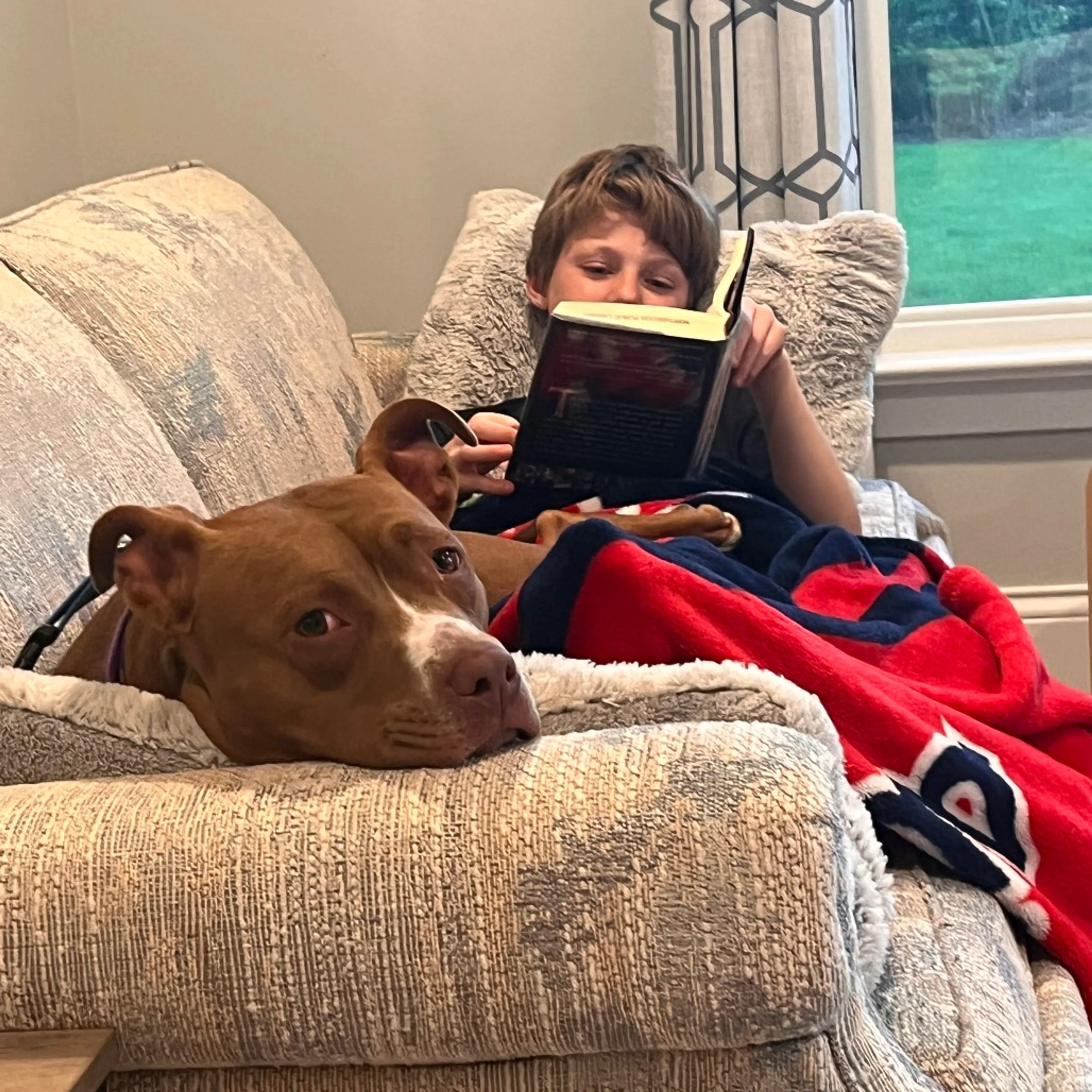 -41