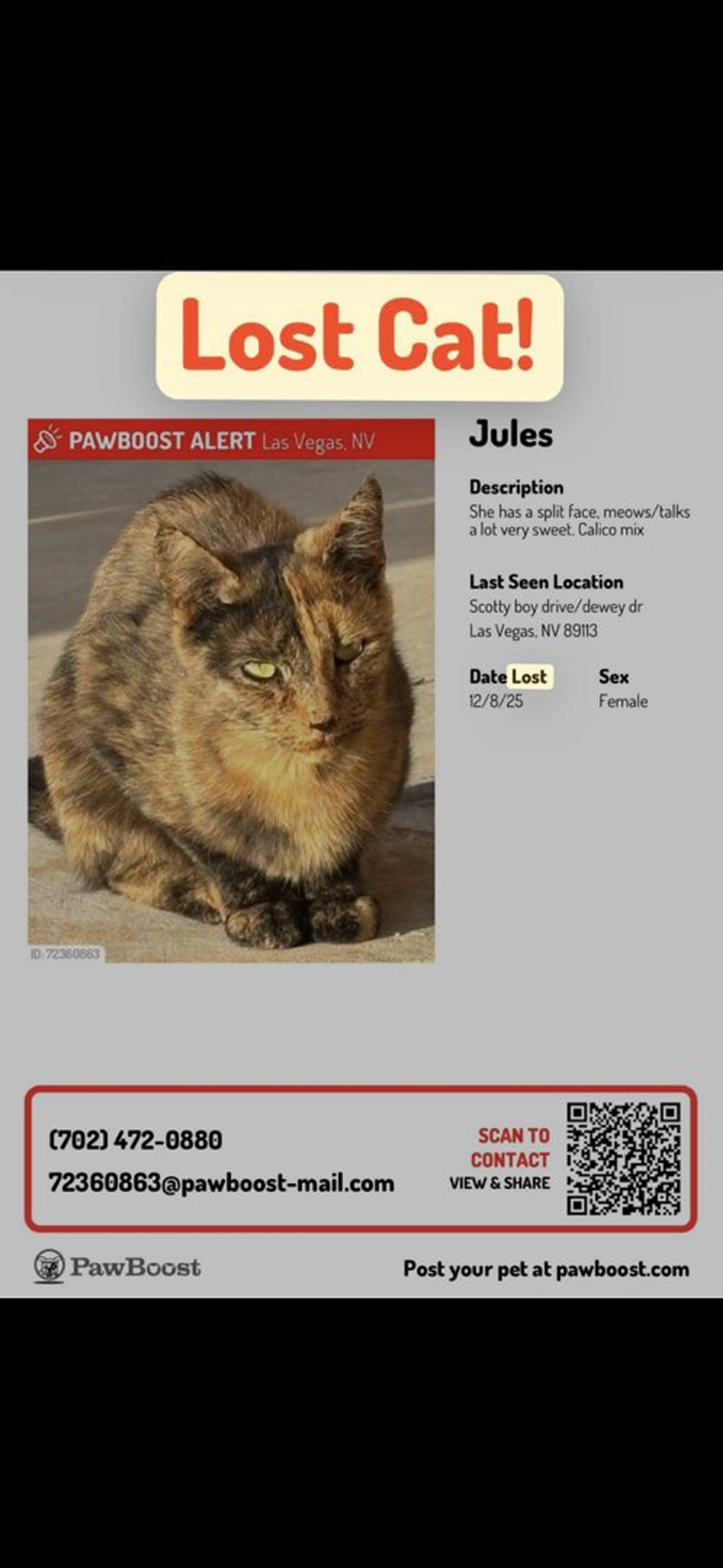 Lost pet