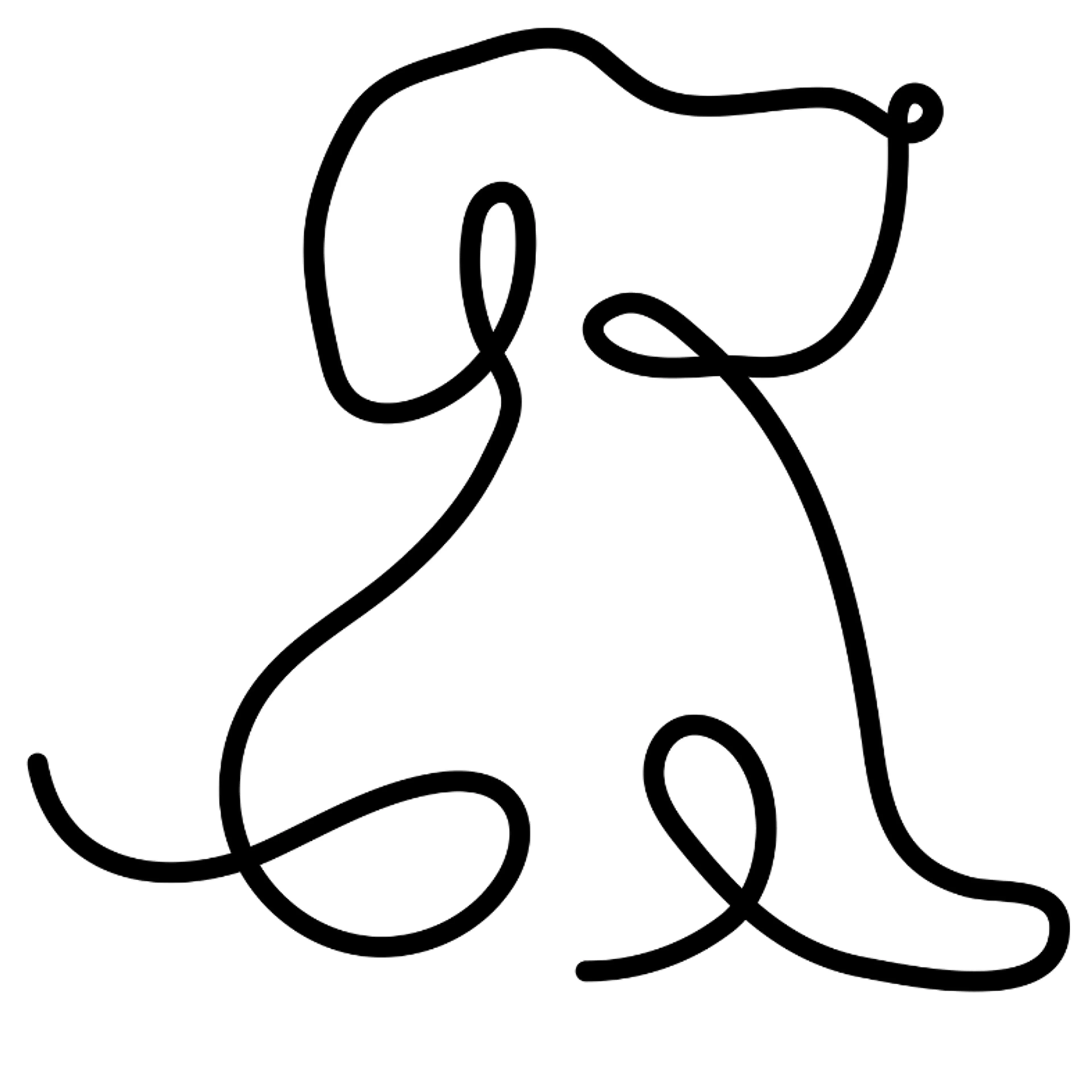Found pet-1
