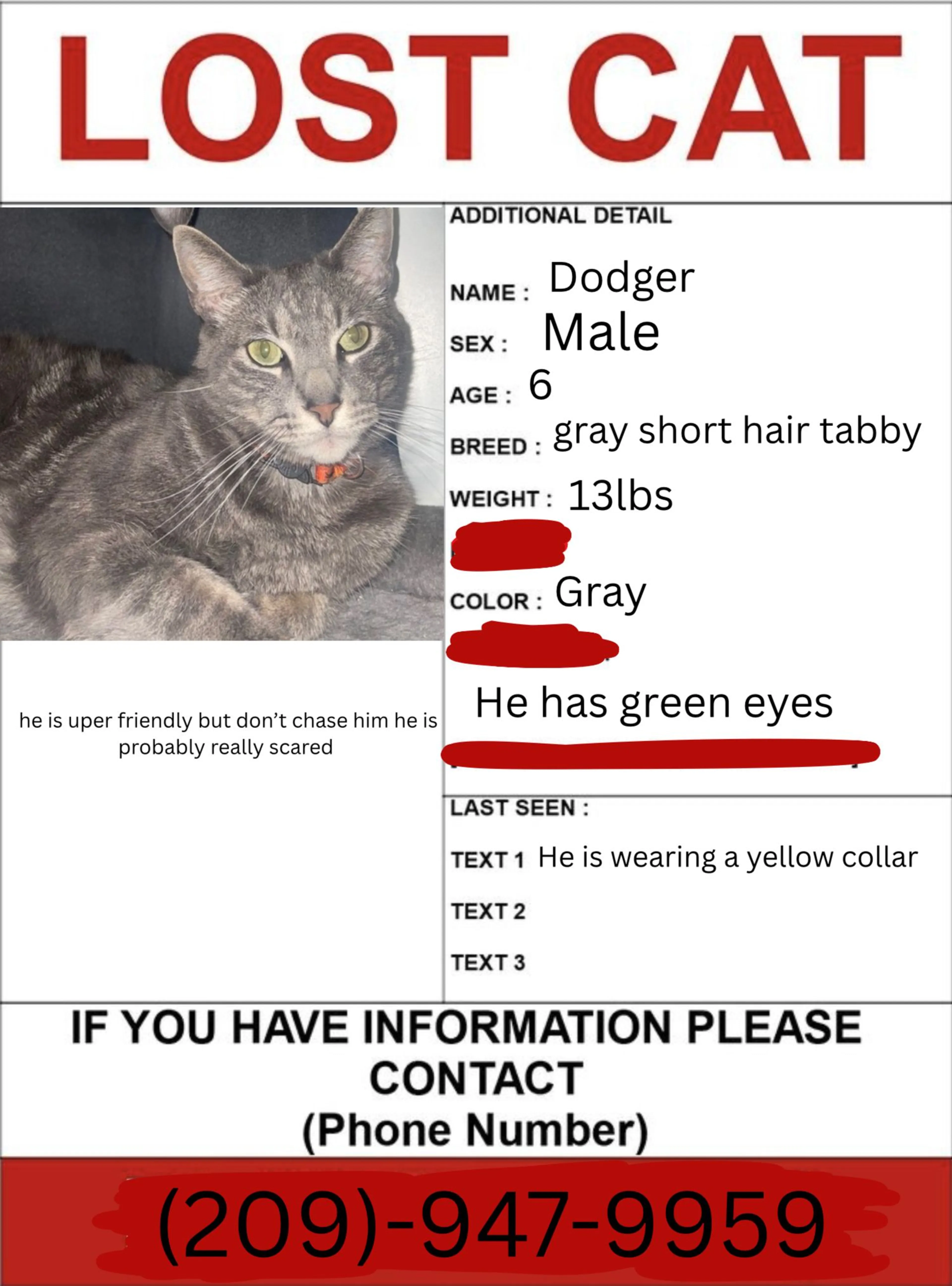 Lost pet