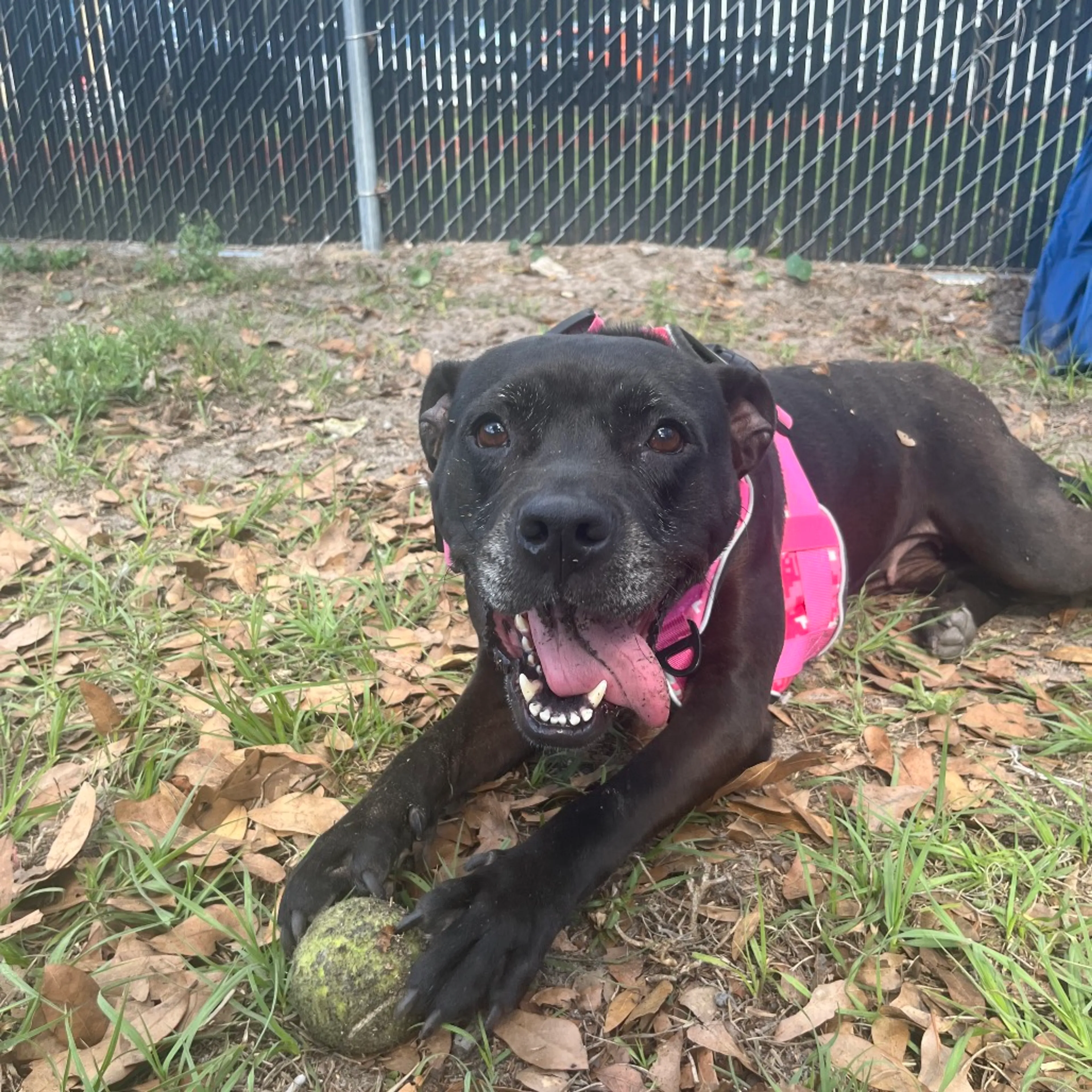 -10